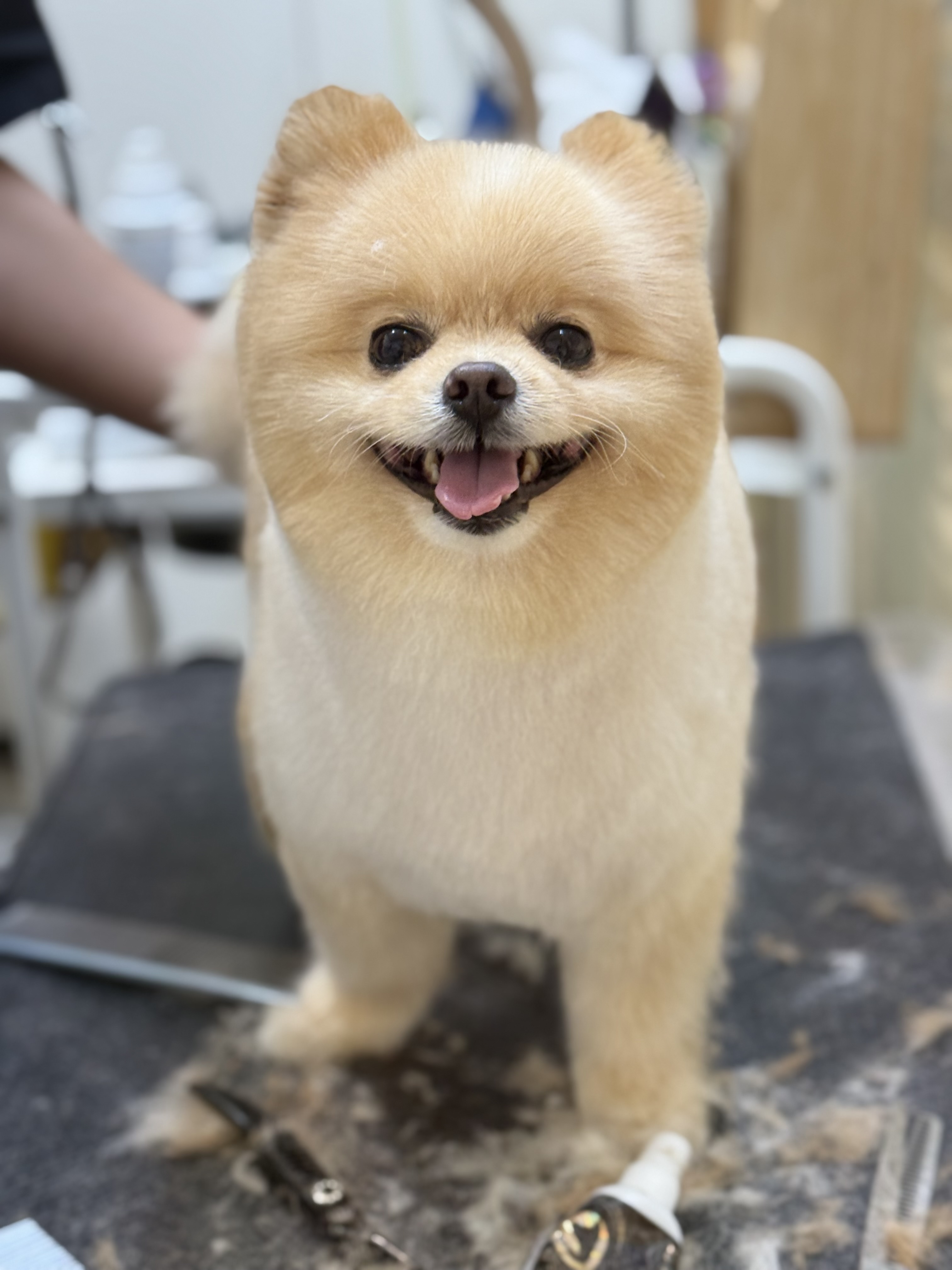 우드네 대표 이미지
