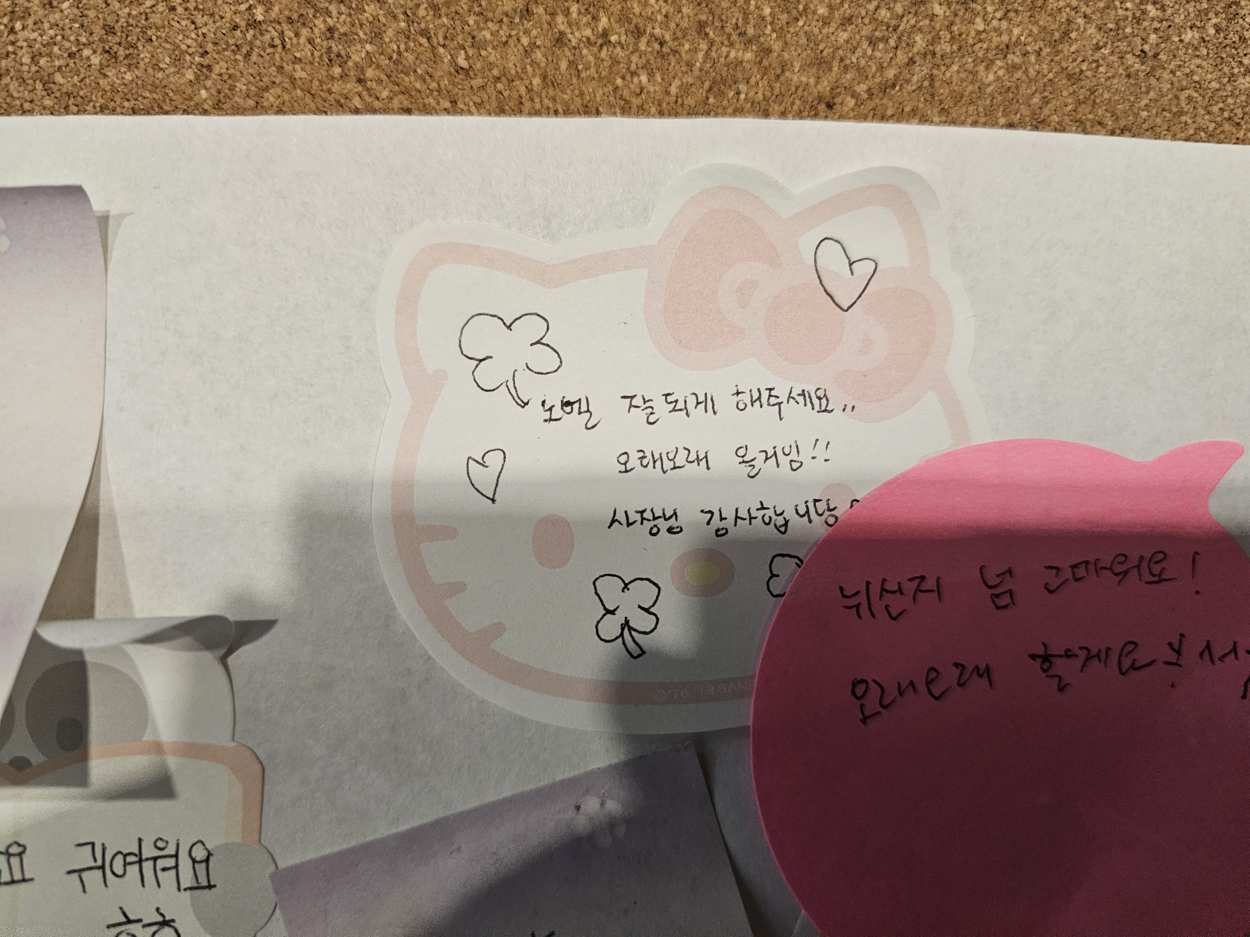 업체사진