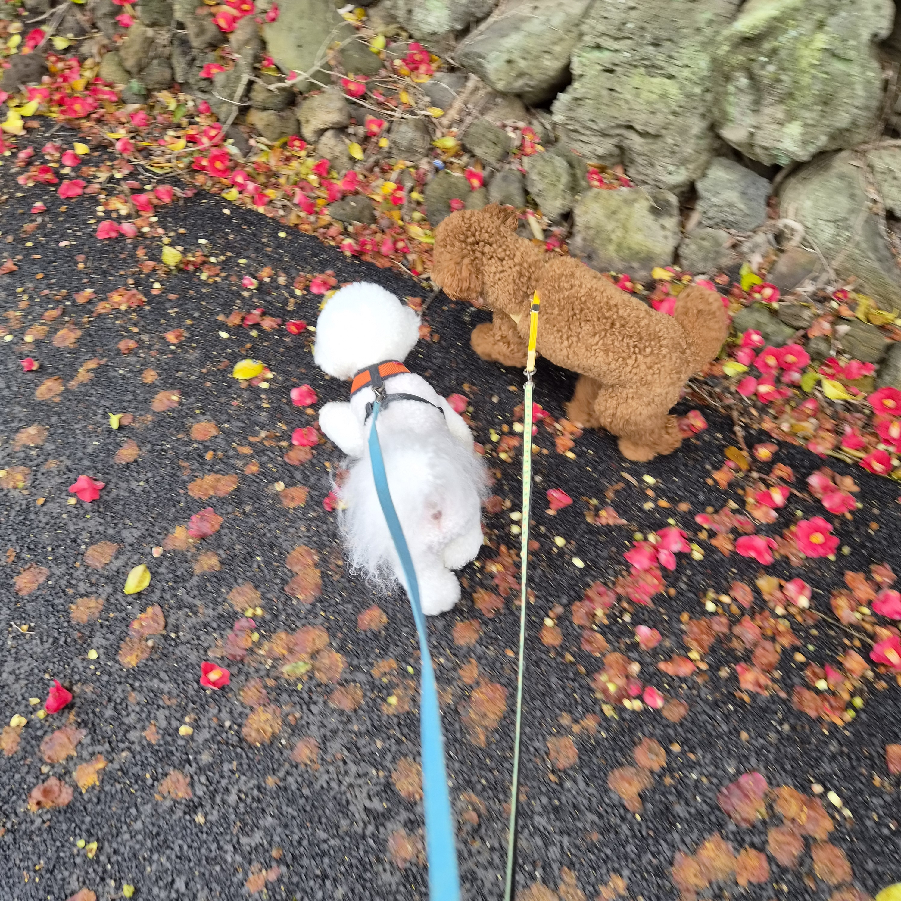 사진 3