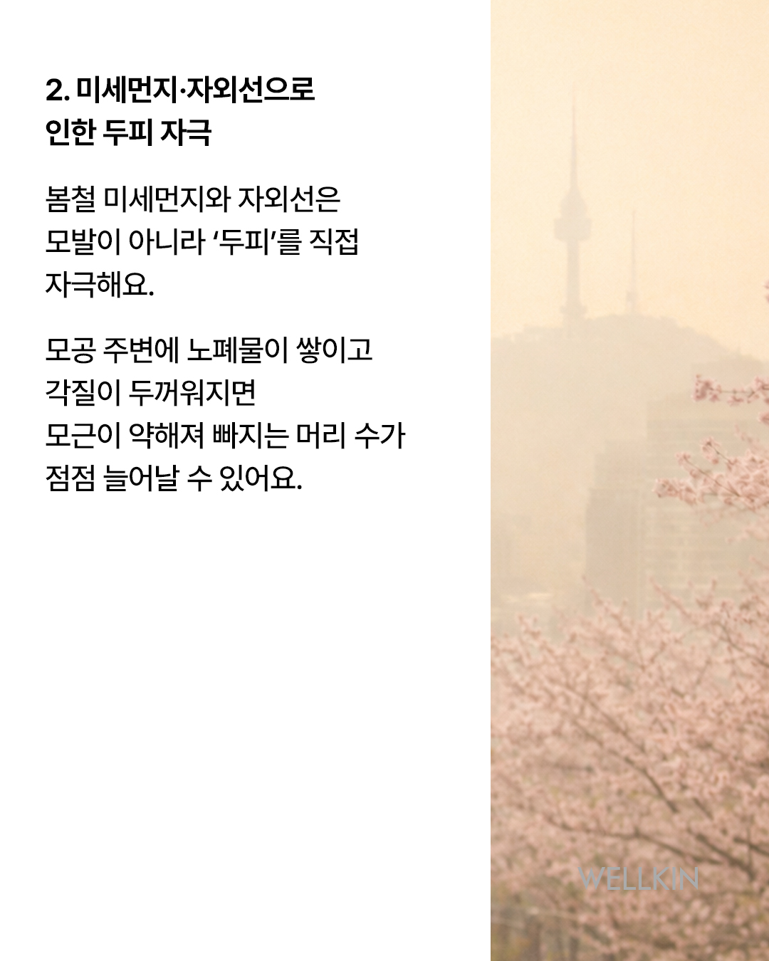 웰킨두피탈모센터 용인수지점 대표 이미지