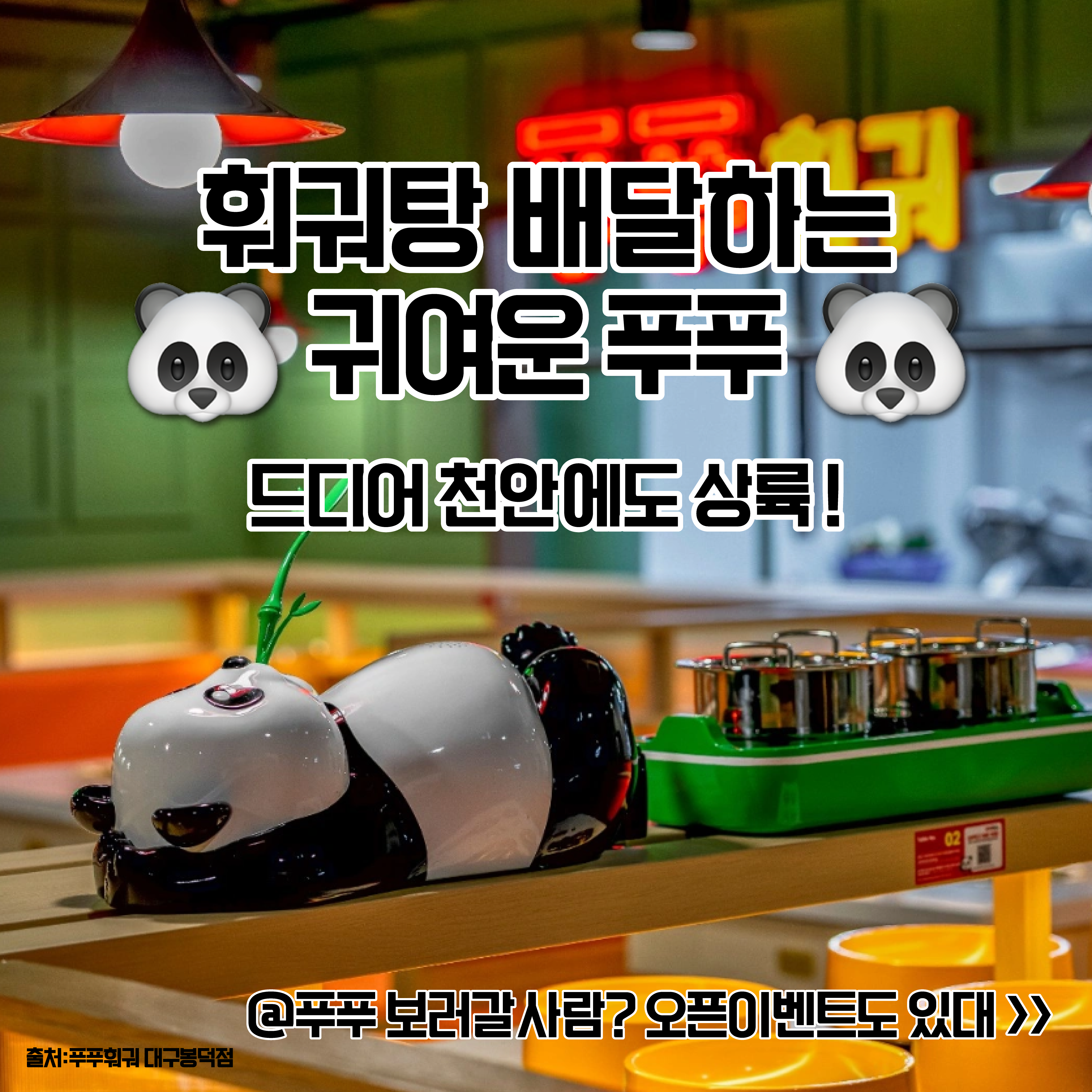 사생활 천안신불당점 충청 애견맛집