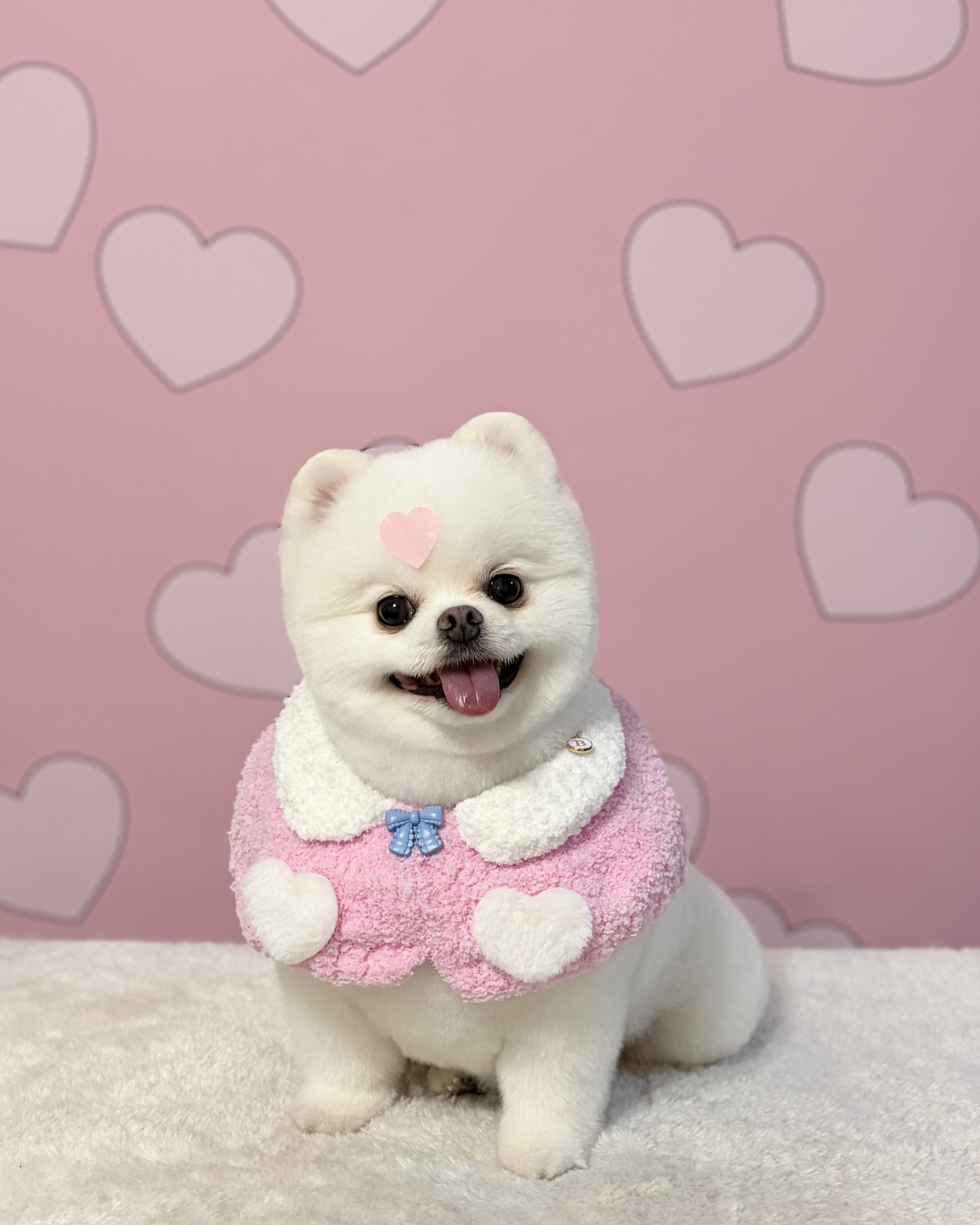 송당송당 대표 이미지