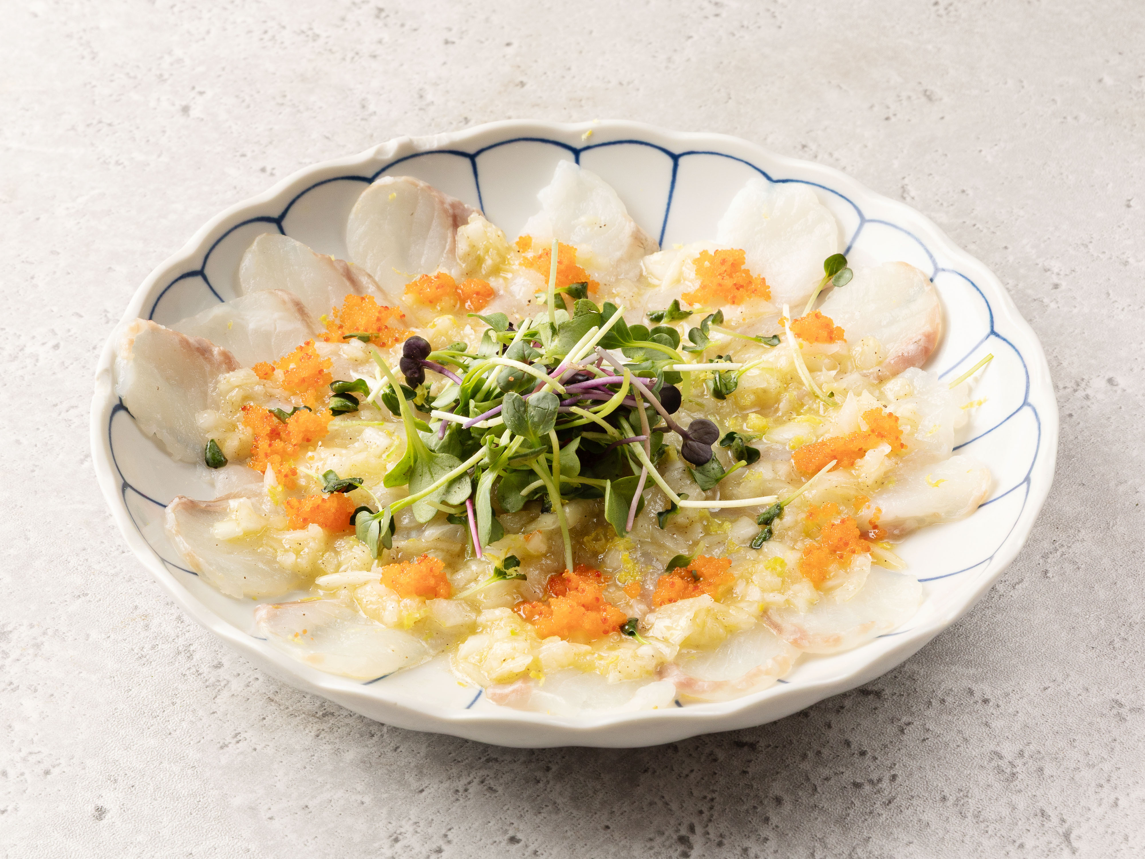 광어세비체
