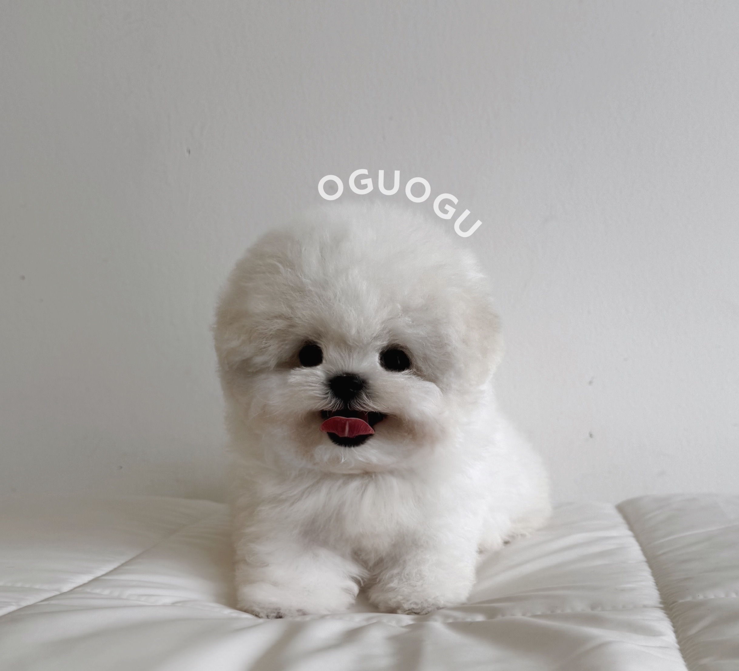 사진 2