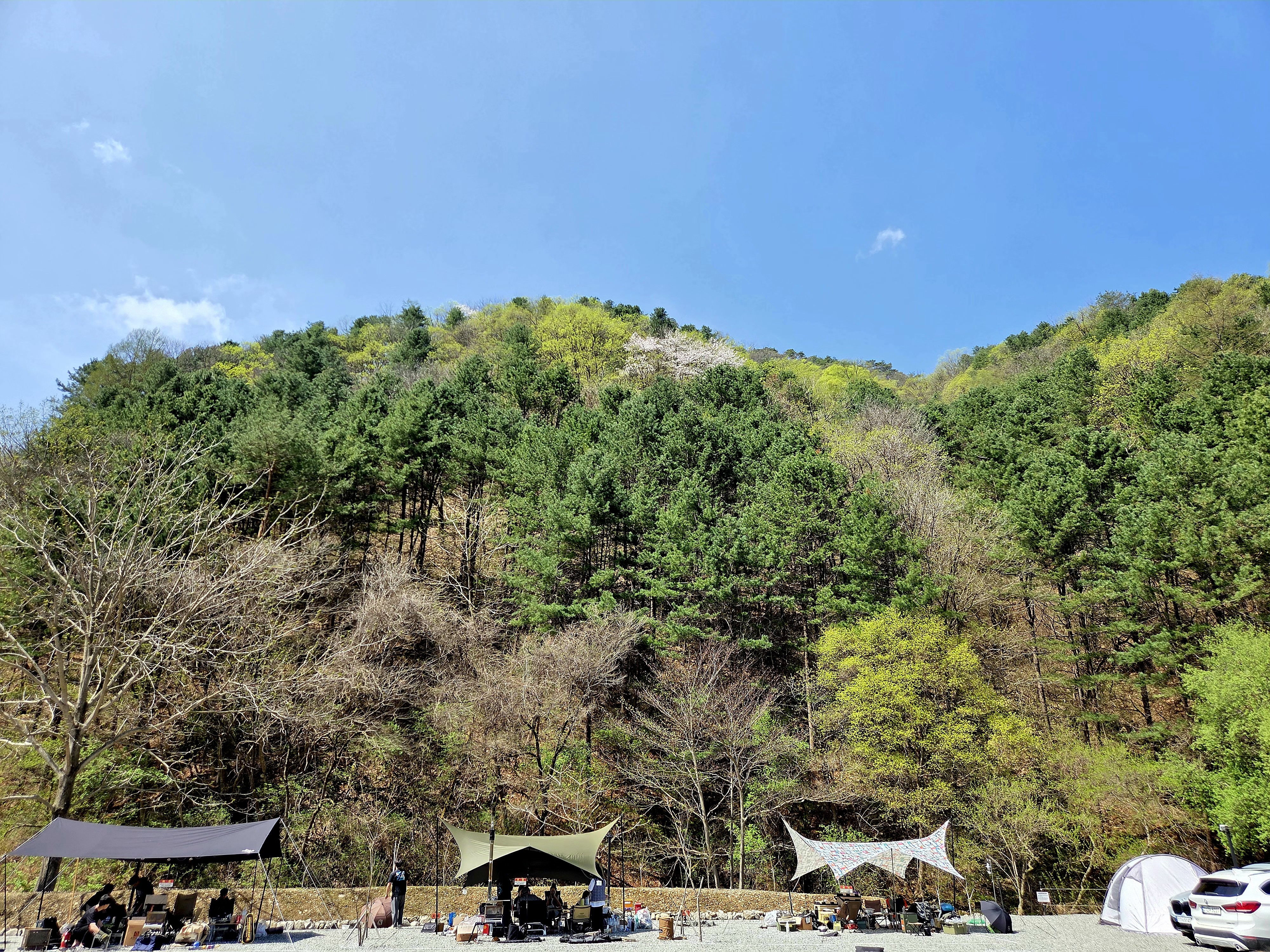 홍천도새울캠핑장