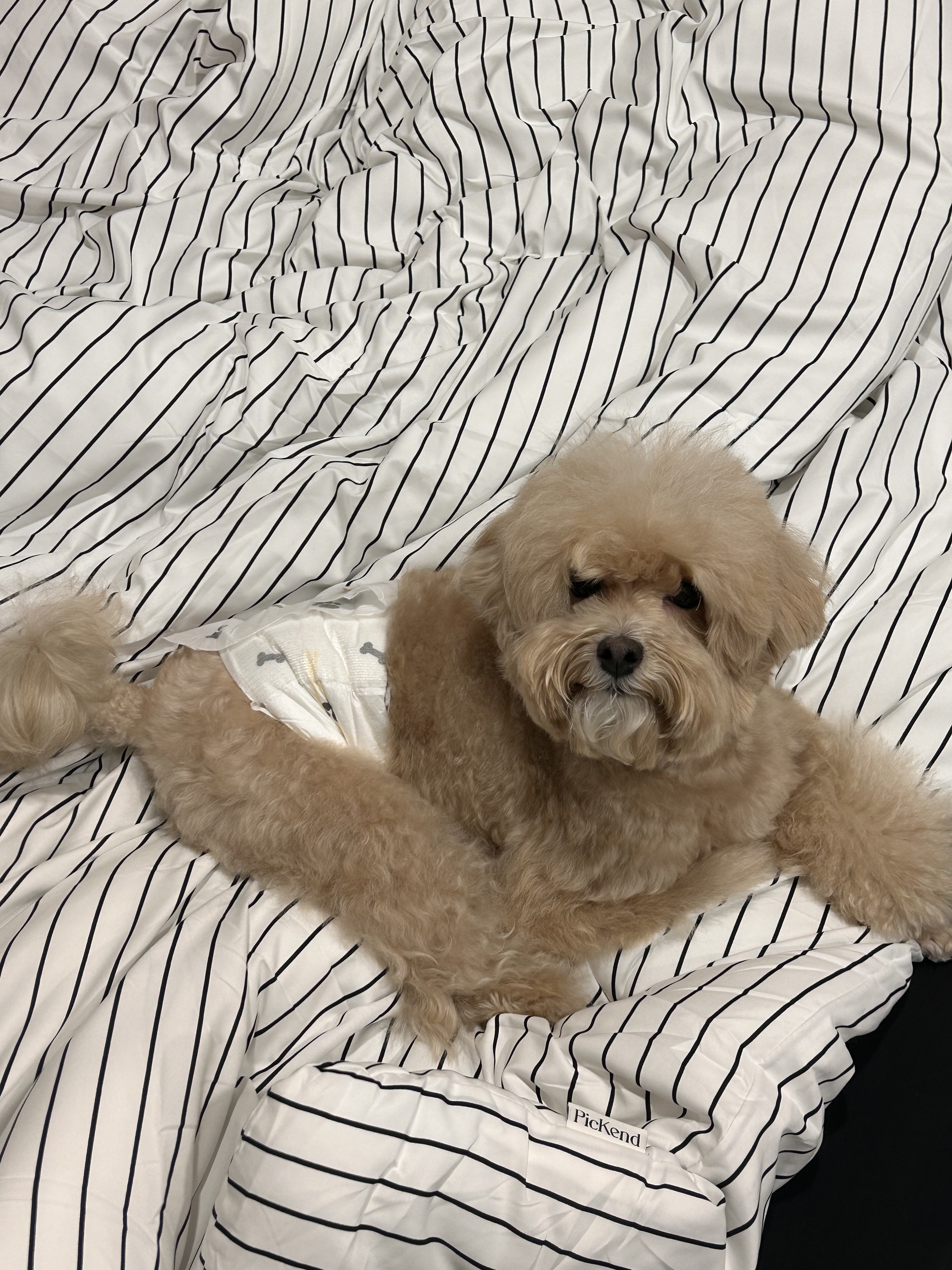 사진 3