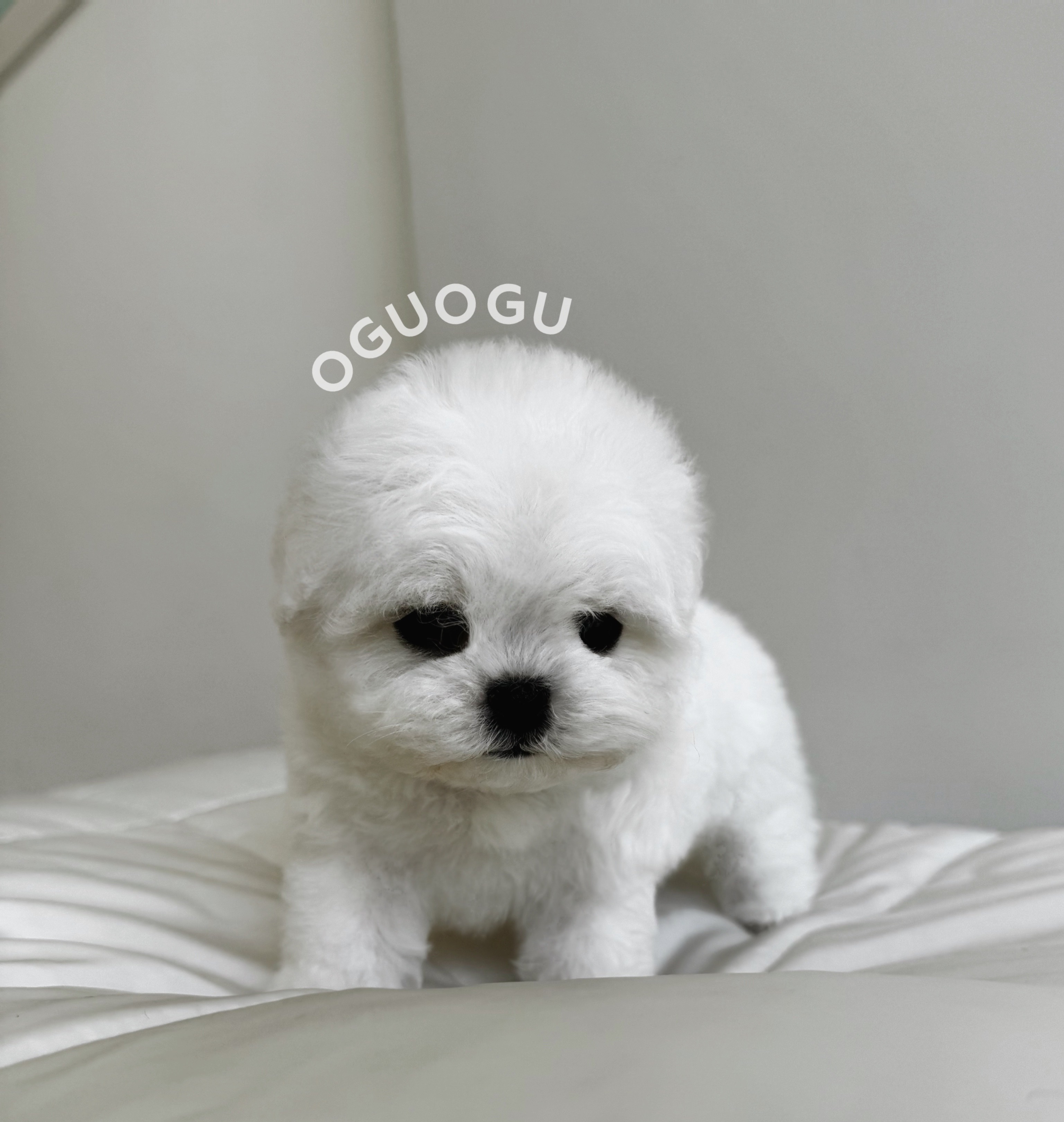 사진 4