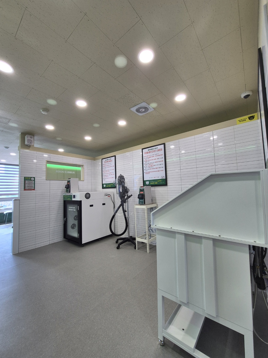 버블독스 대표 이미지