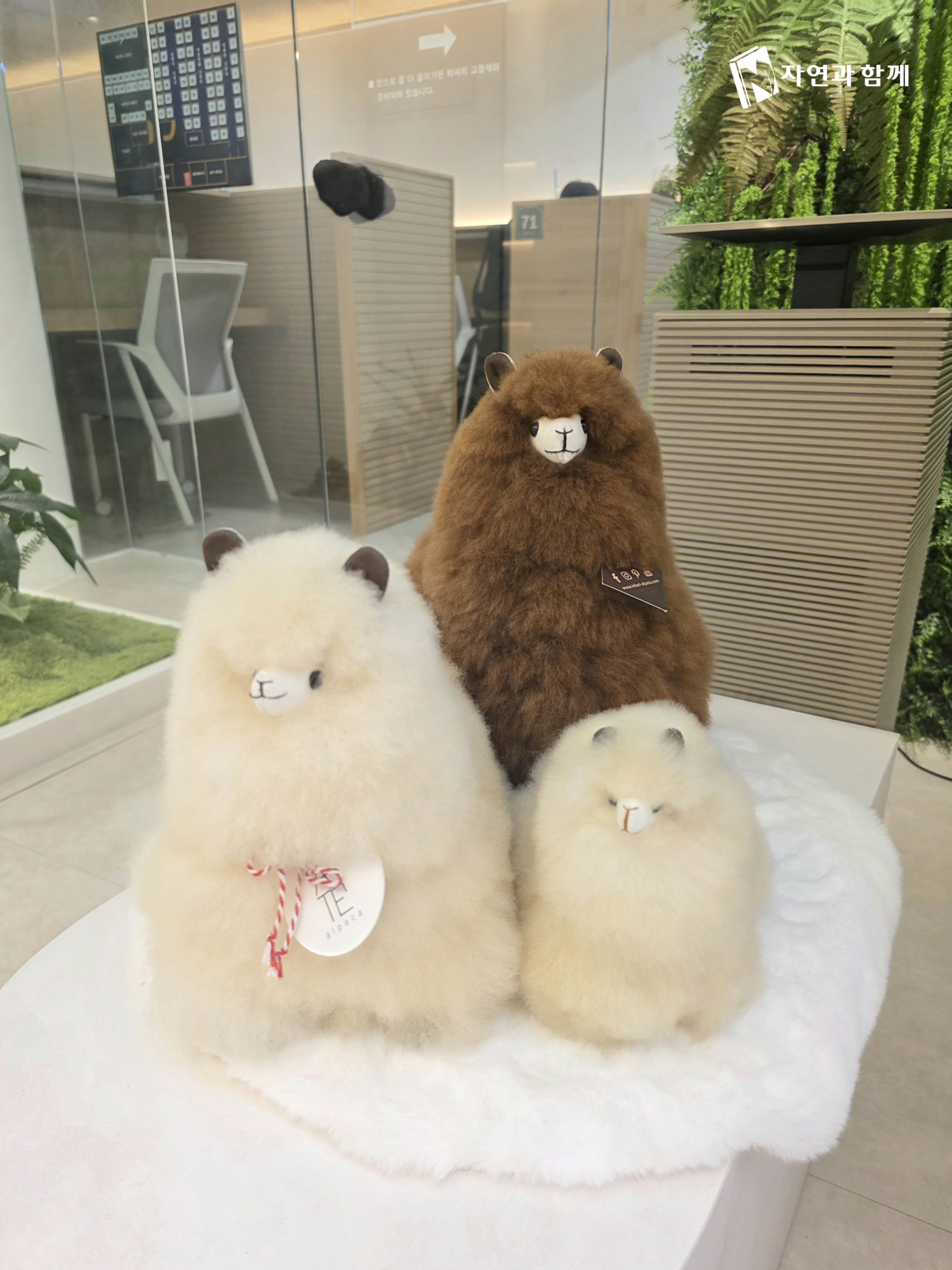 자연과함께 스터디카페 독서실 도래울 대표이미지