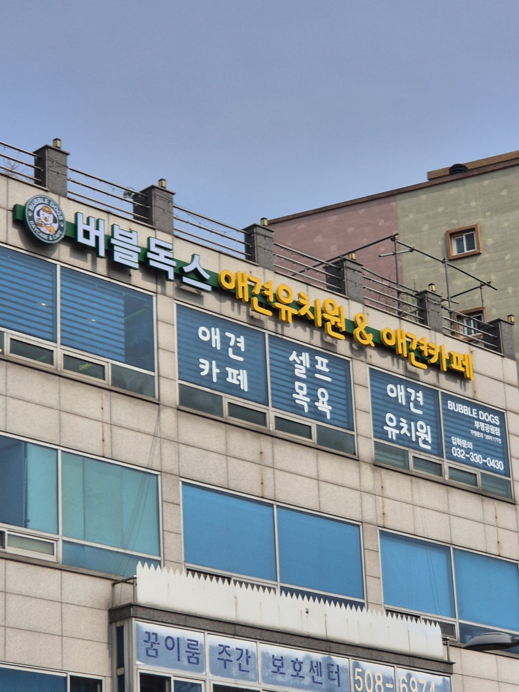 버블독스데이앤케어 부평공원점 3