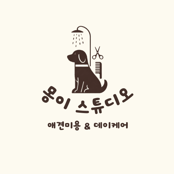 몽이스튜디오 대표 이미지