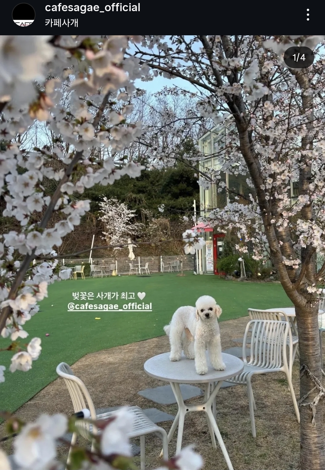 사진 4
