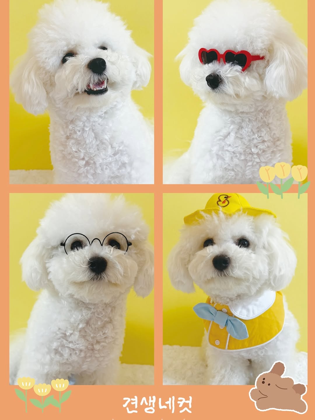 놀러오개 행신점 대표 이미지