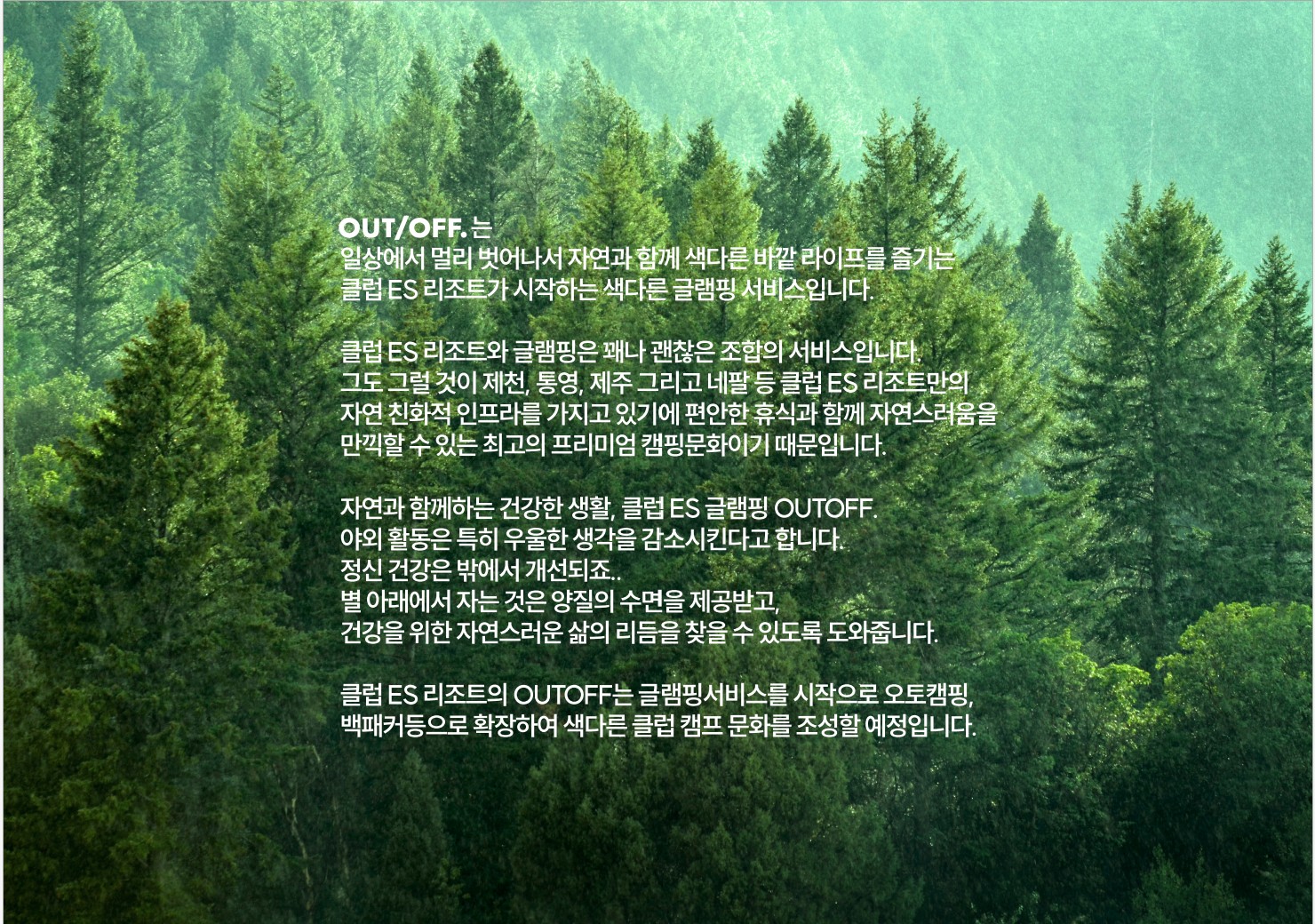 사진 3