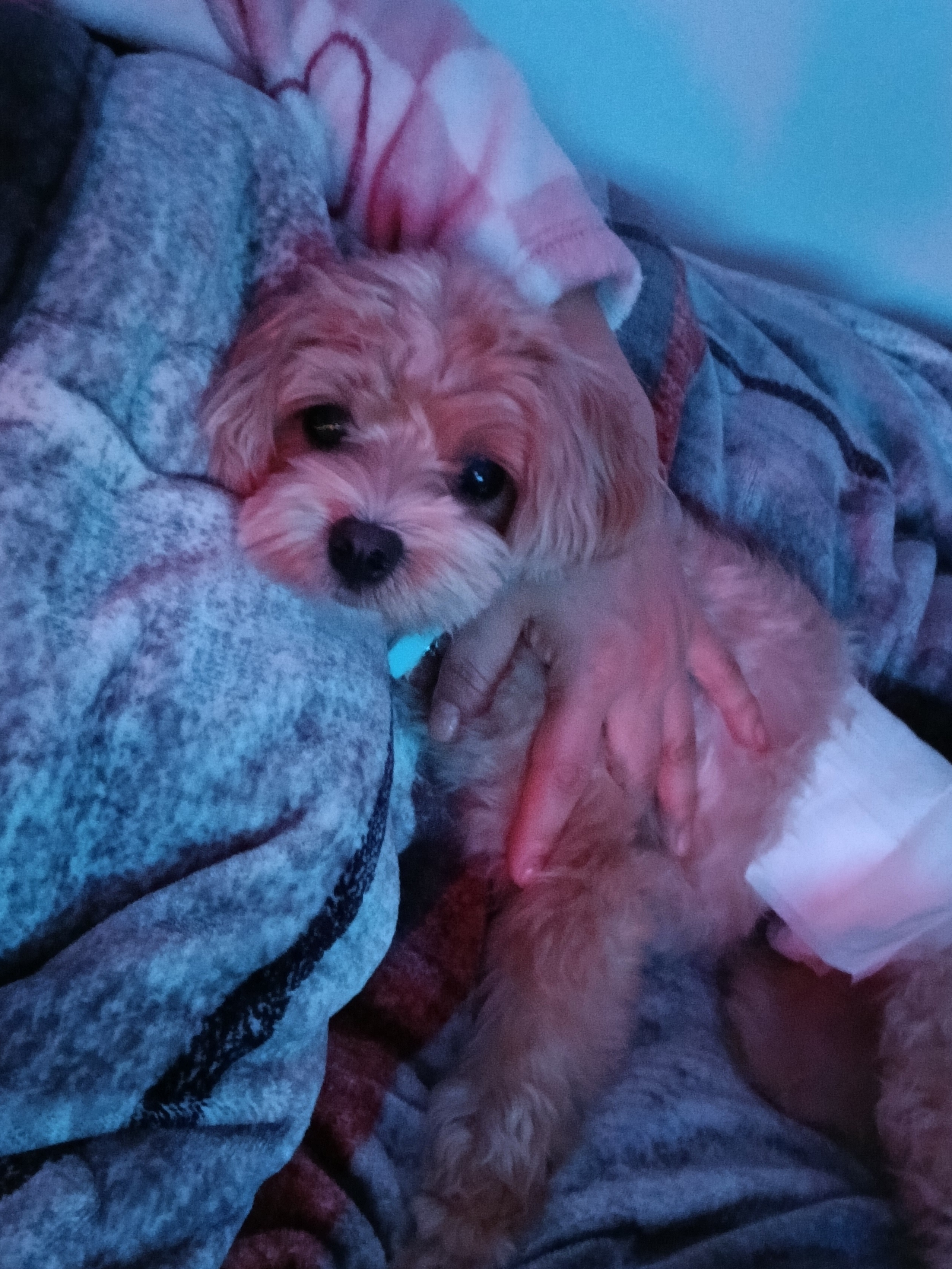 함께놀개 대표 이미지