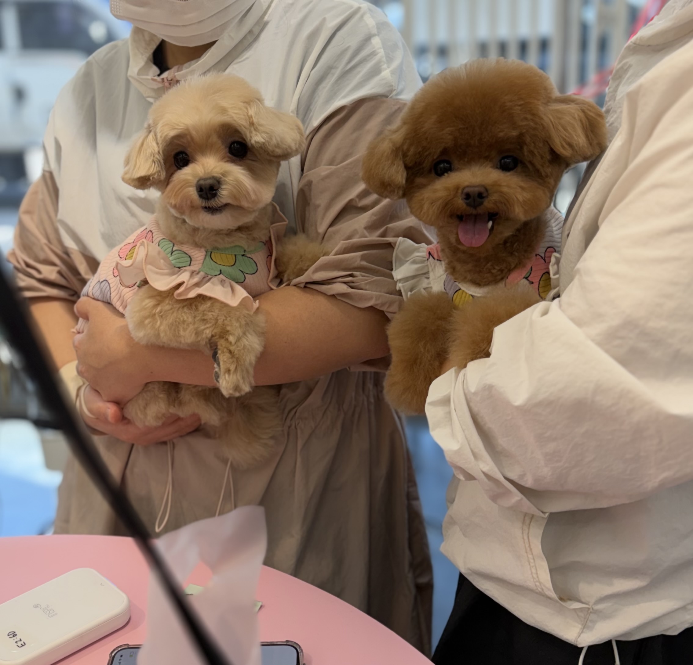 트리밍숍 대표 이미지