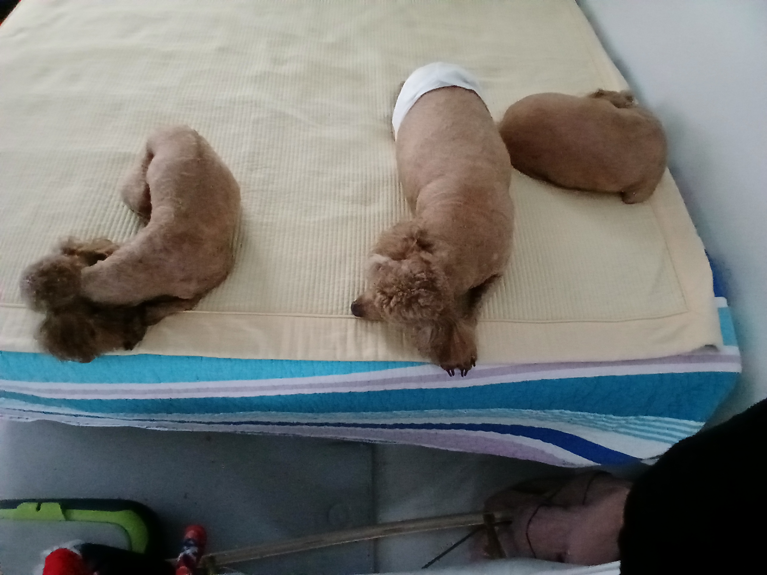 함께놀개 대표 이미지