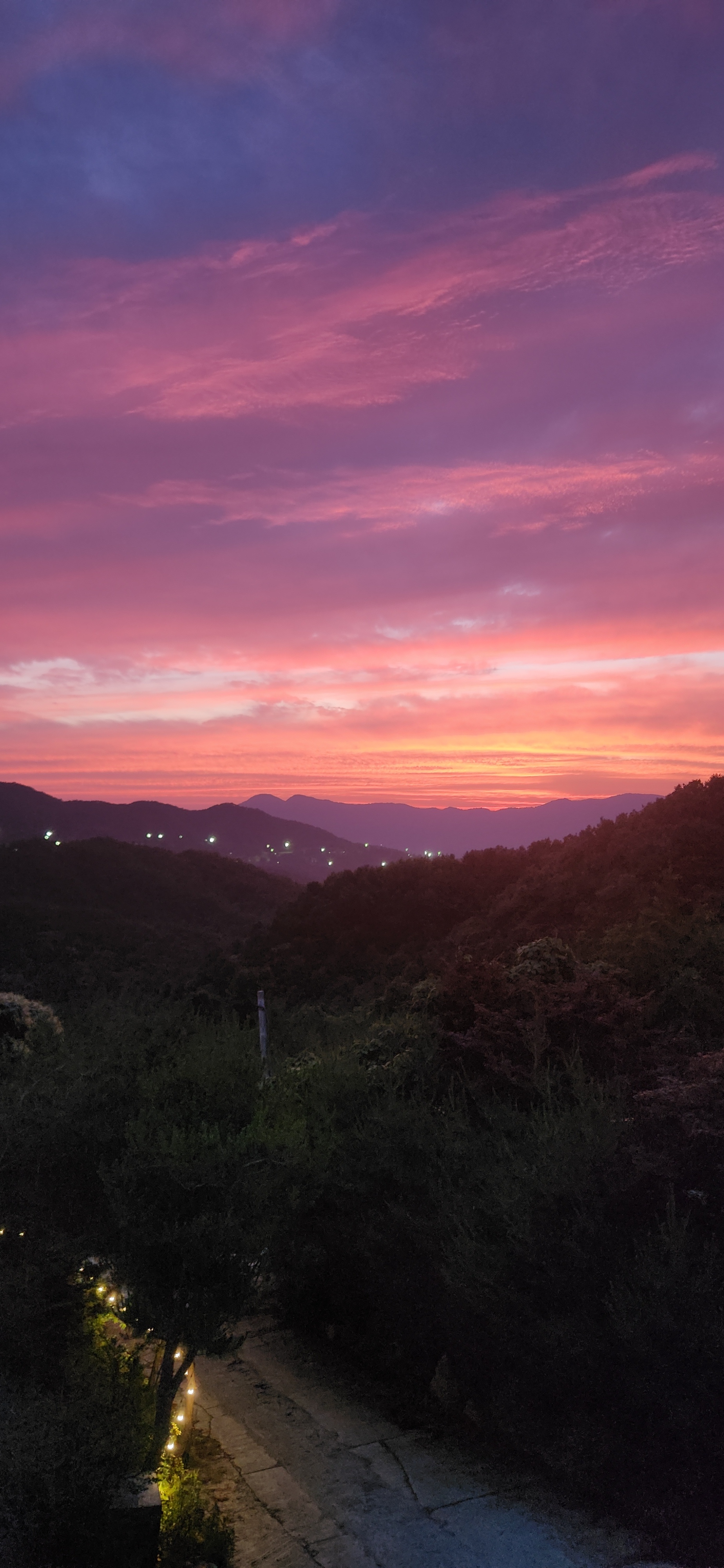 사진 2