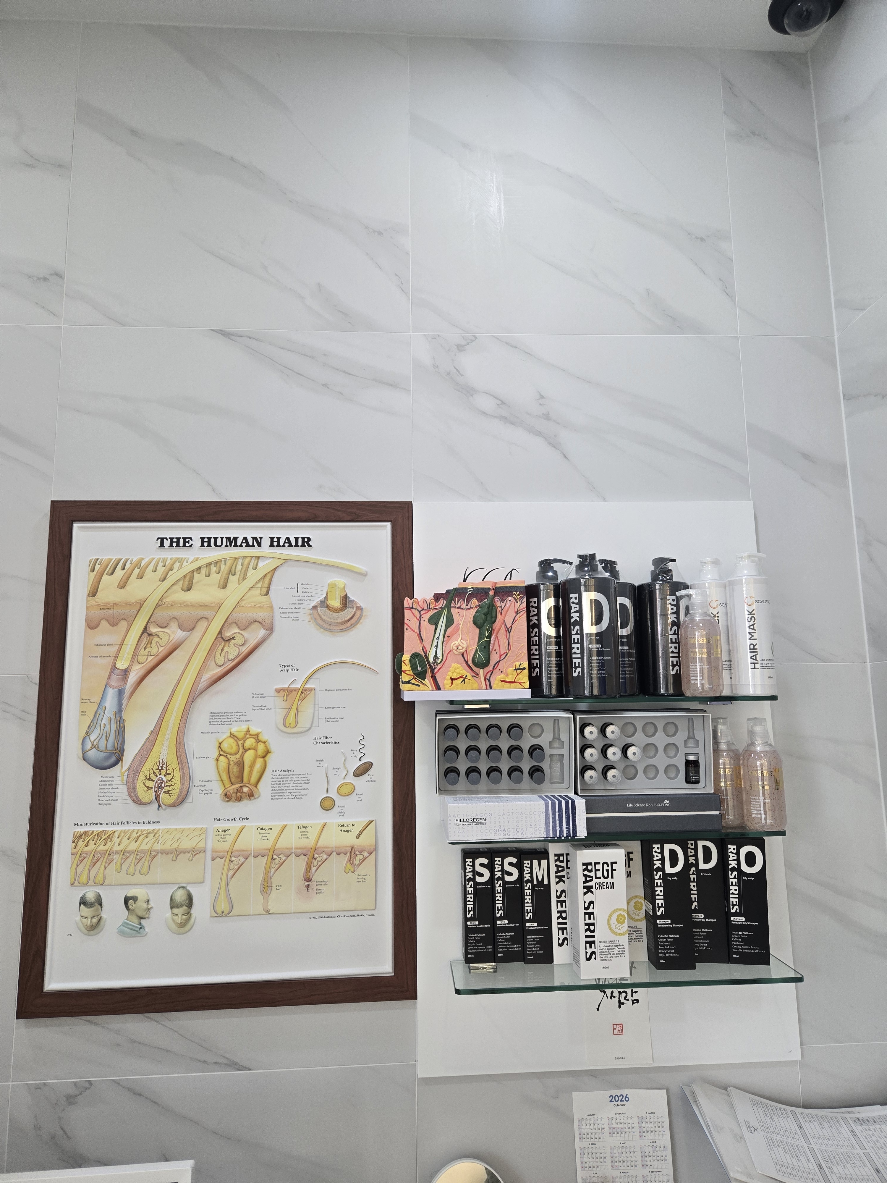 닥터모락 수지성복역점