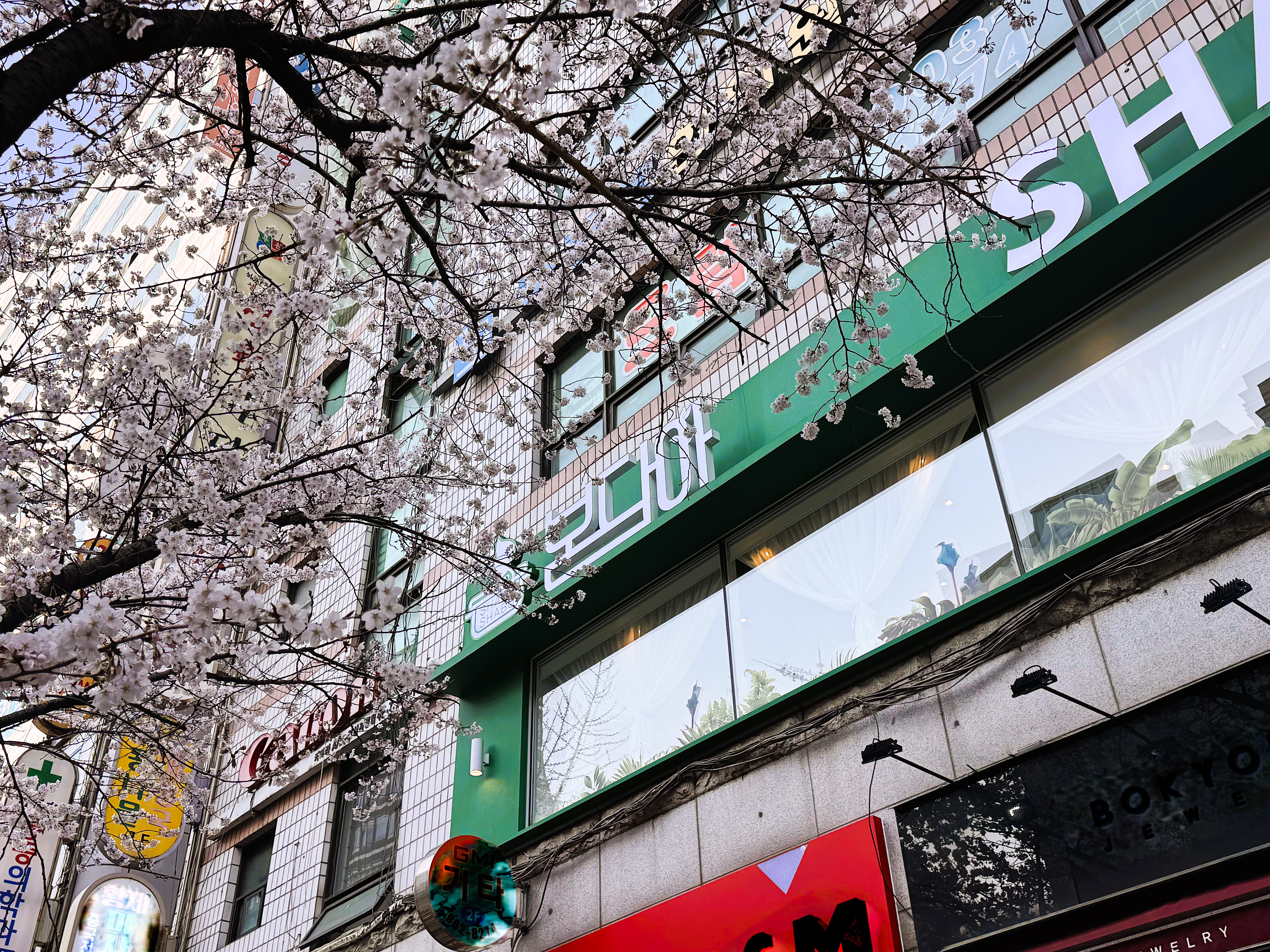 봄담아 마두역점