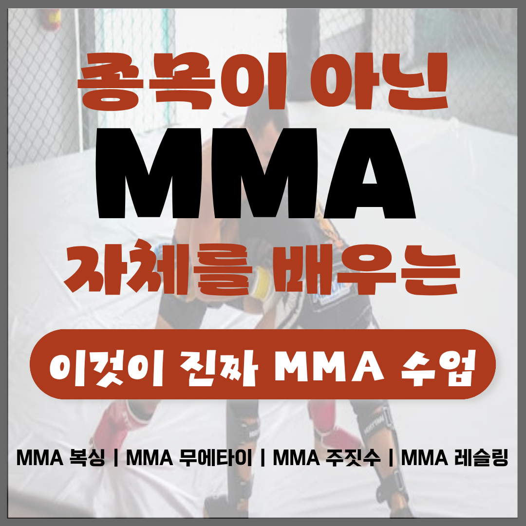 경기도 수원시 영통구 복싱체육관 GP Gym&MMA, 복싱 내부 모습 2