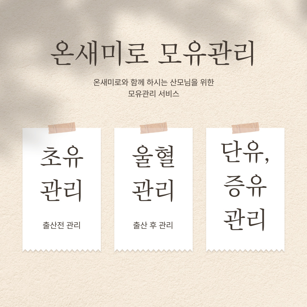 온새미로 photo 3