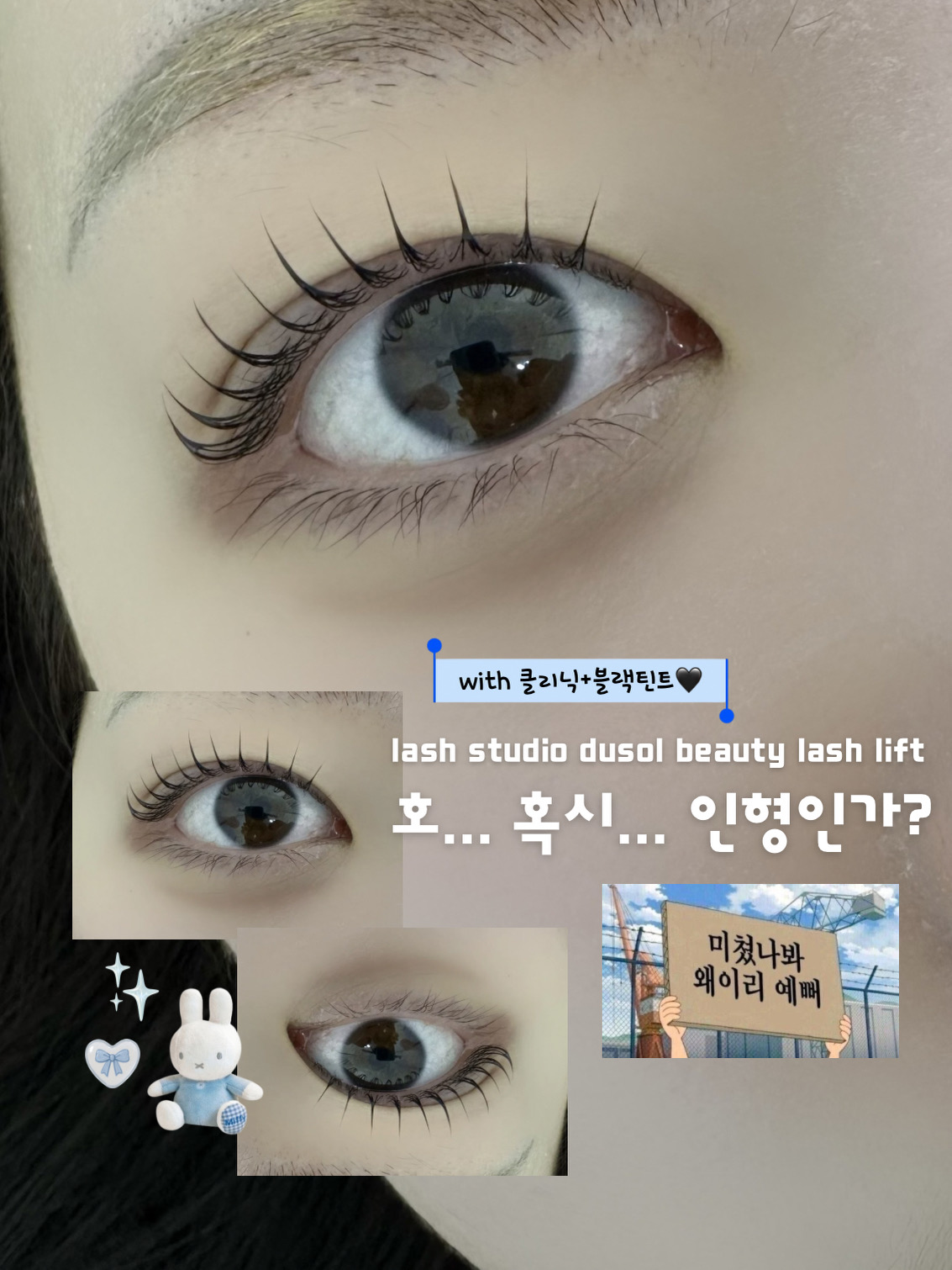 레드문뷰티 반려동물 동반 애견카페