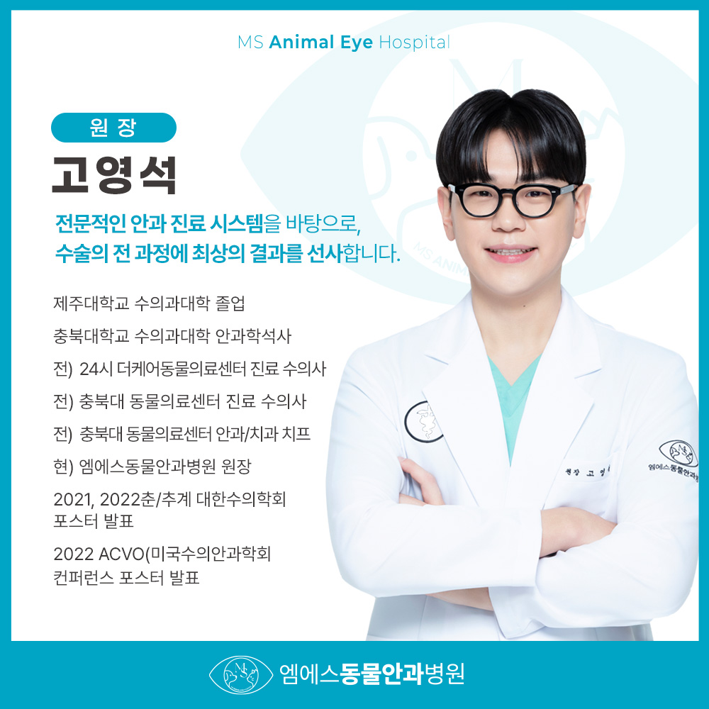 엠에스동물안과병원 대표 이미지