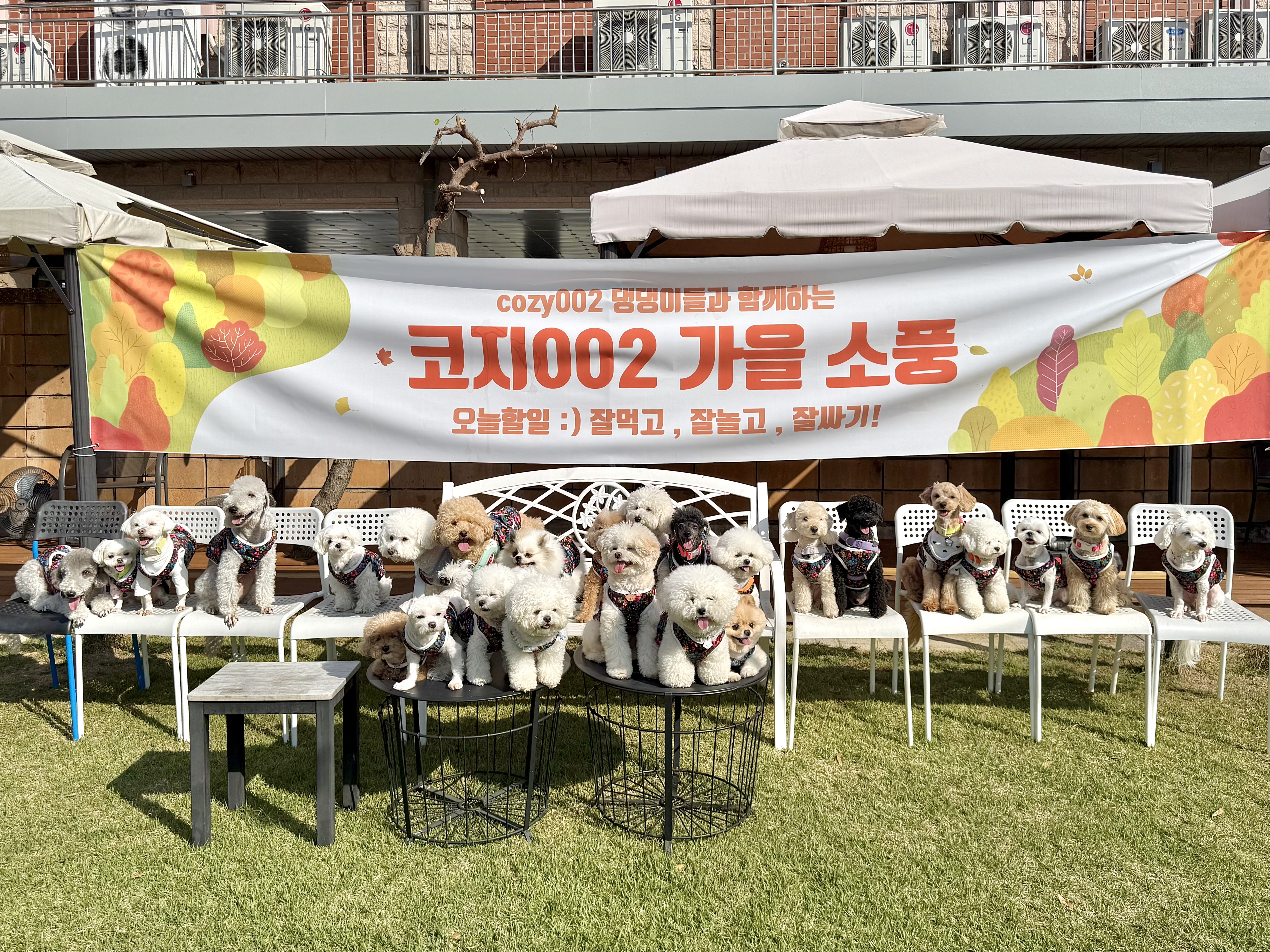 카페우야우 3