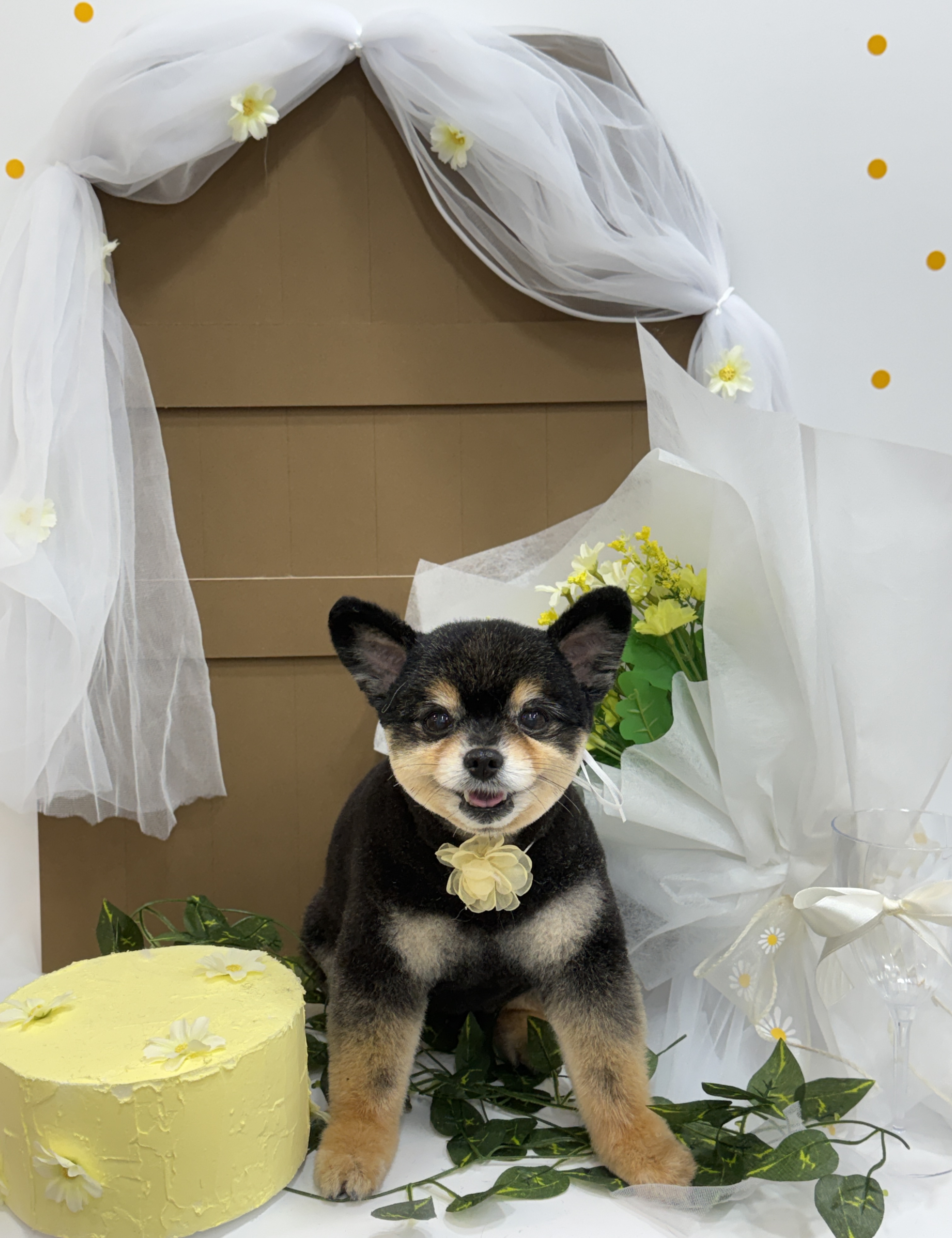 기억할개 대표 이미지