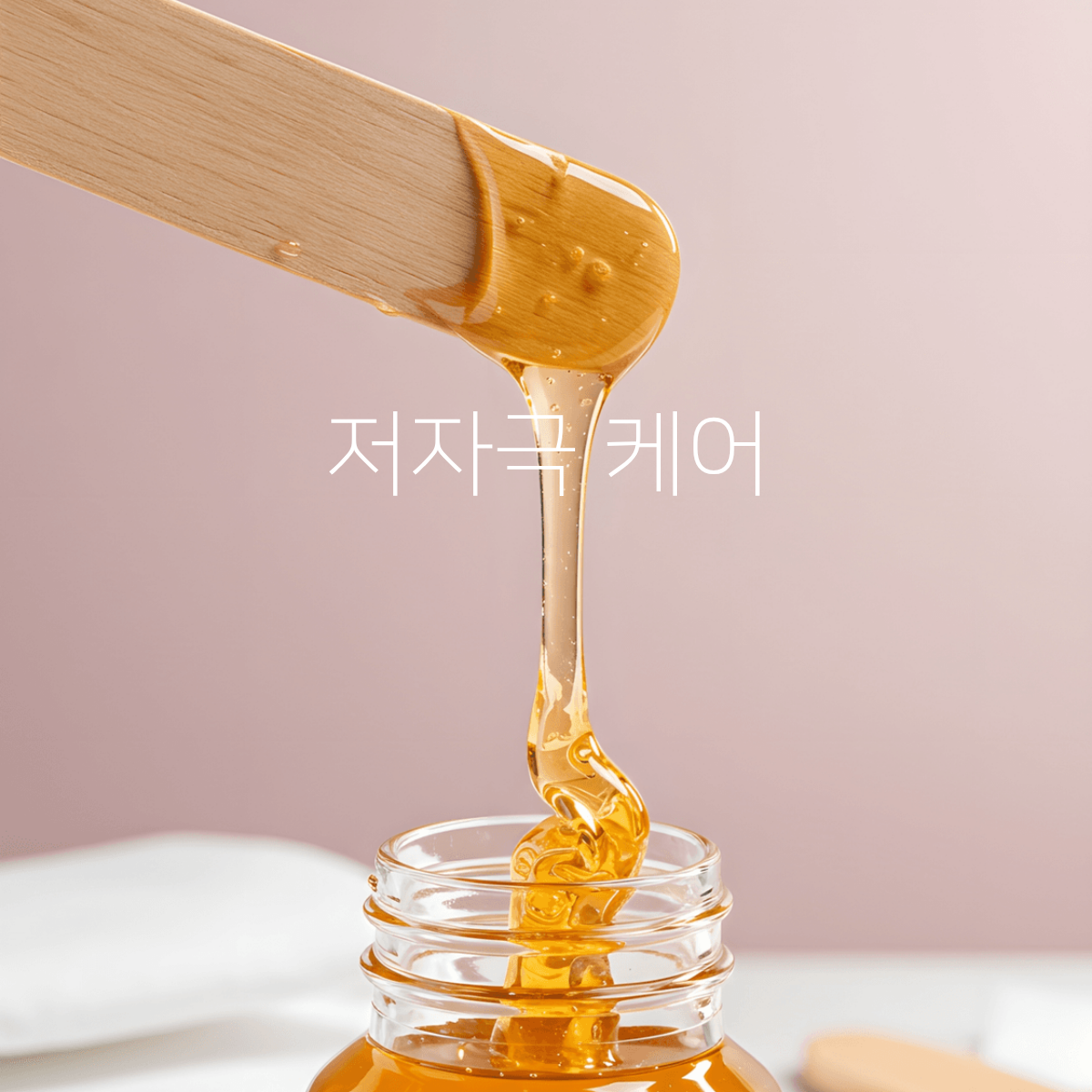 보네르펫카페 주차장 충청 애견맛집