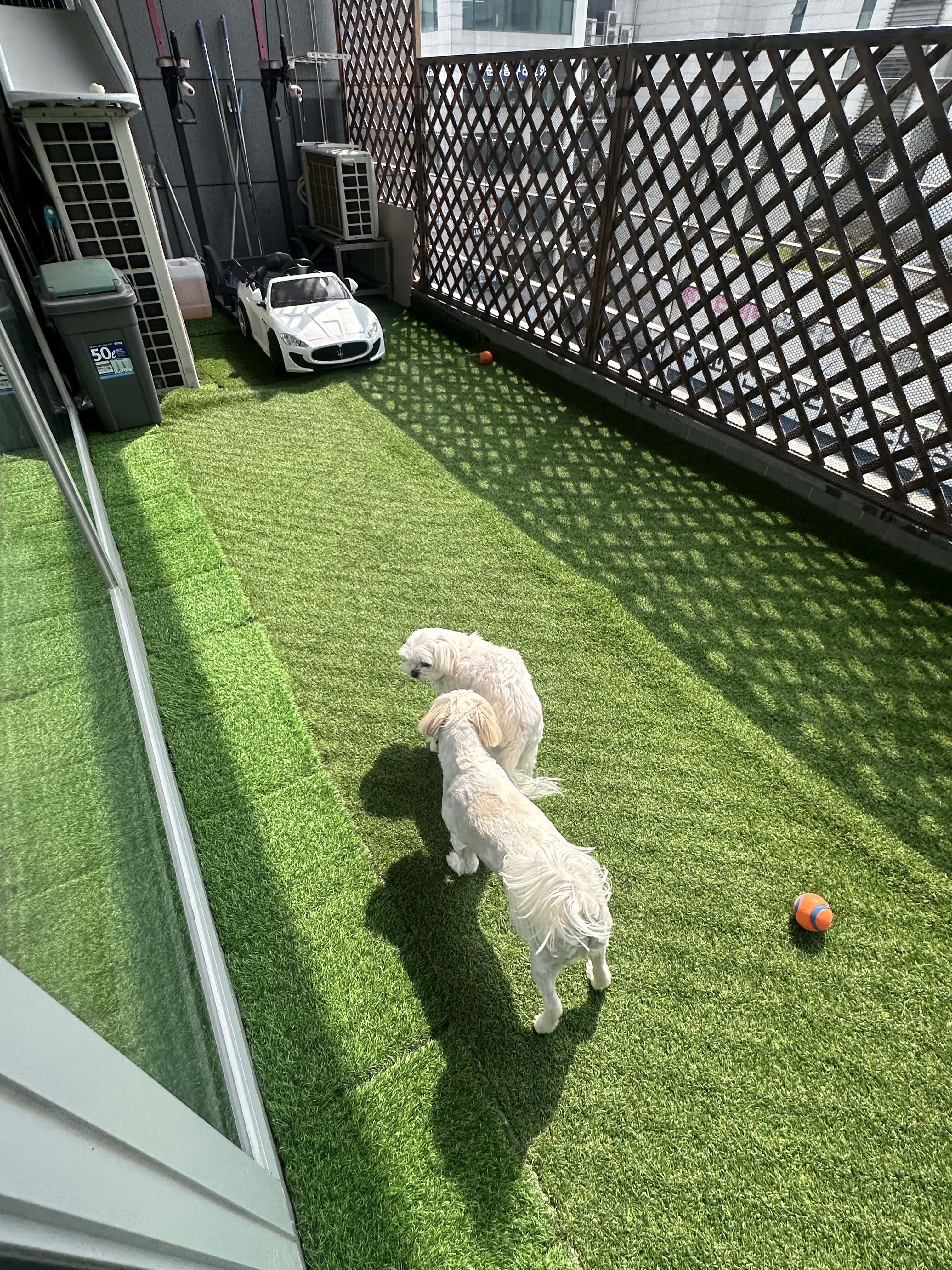 플라이투더뭉 대표 이미지