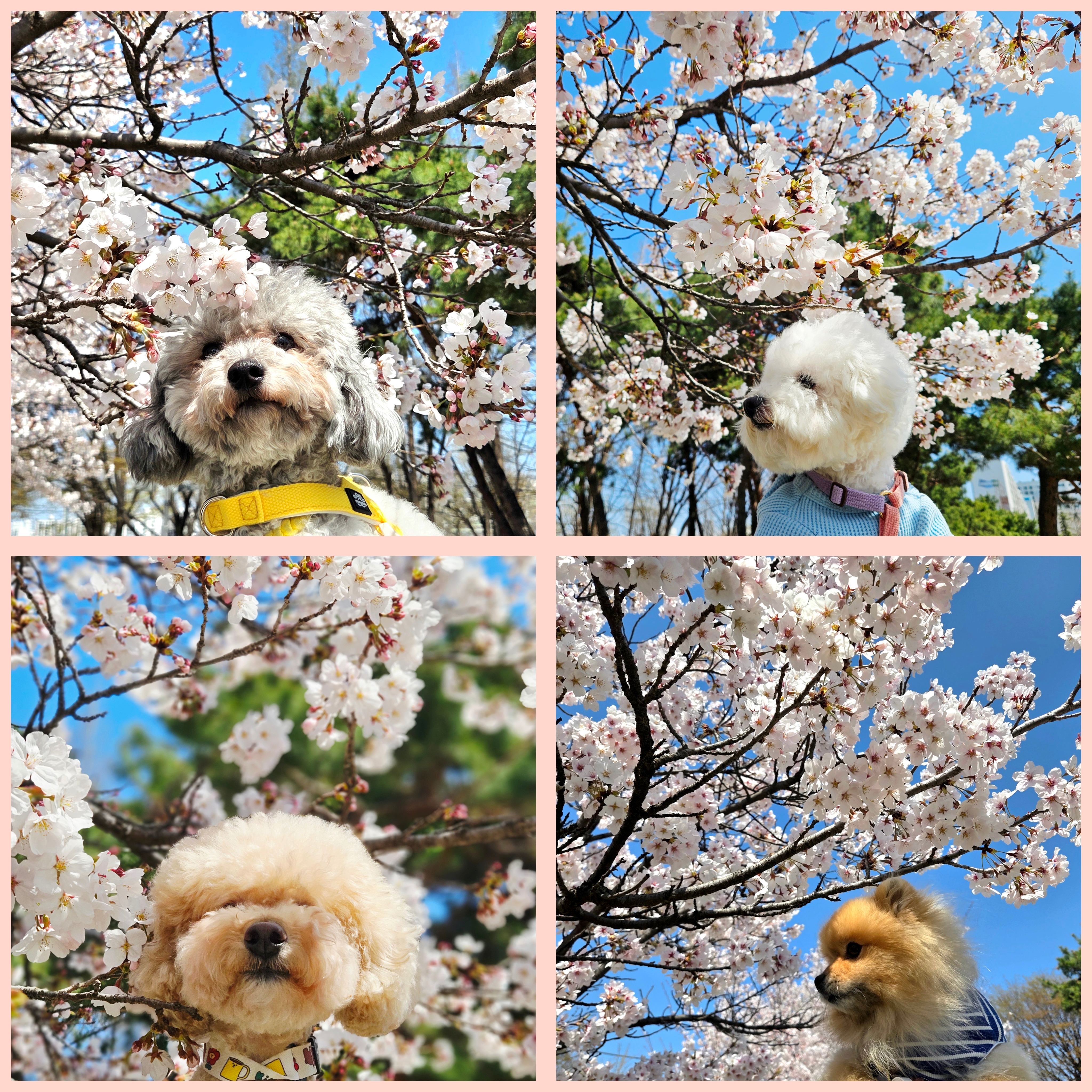 사진 3