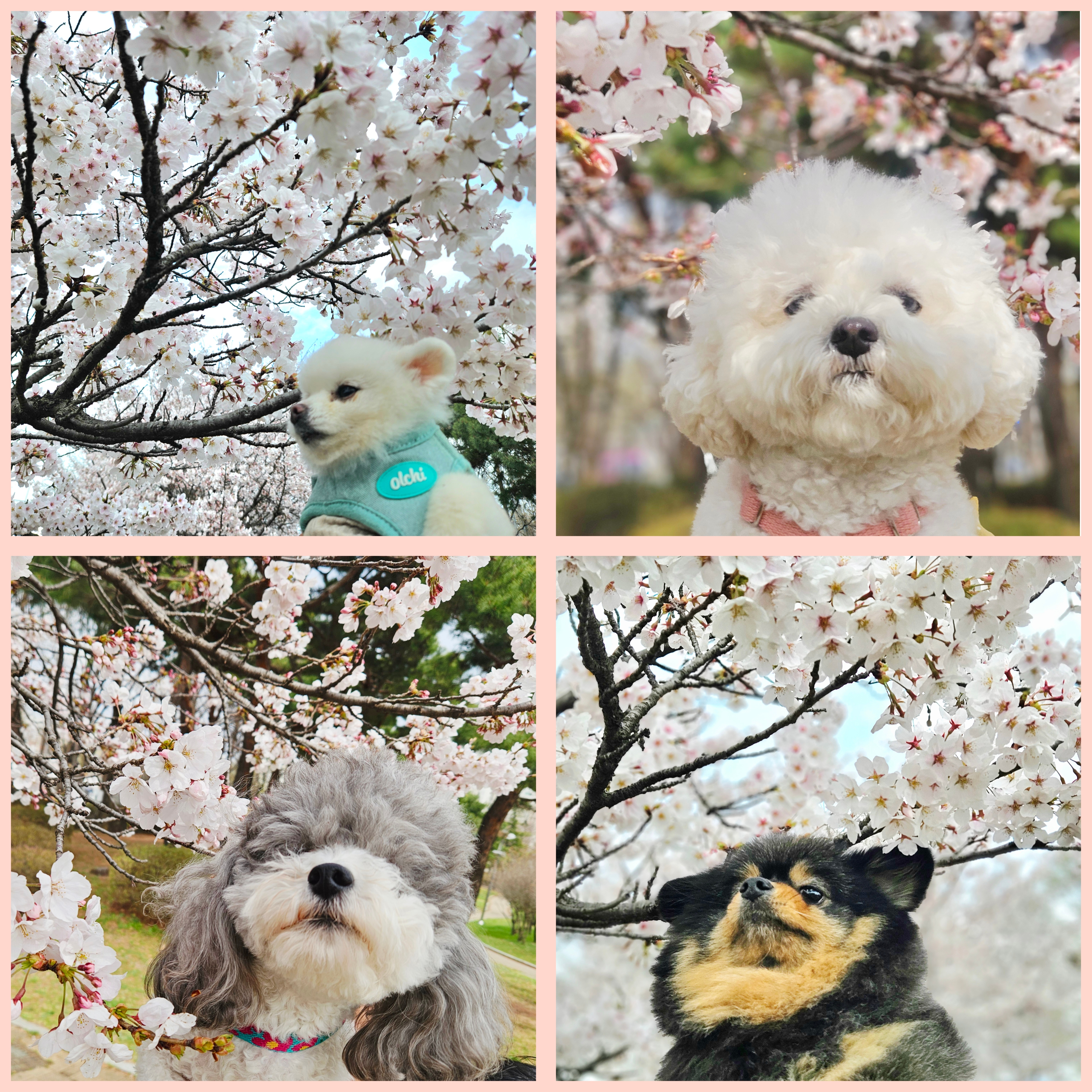 사진 4