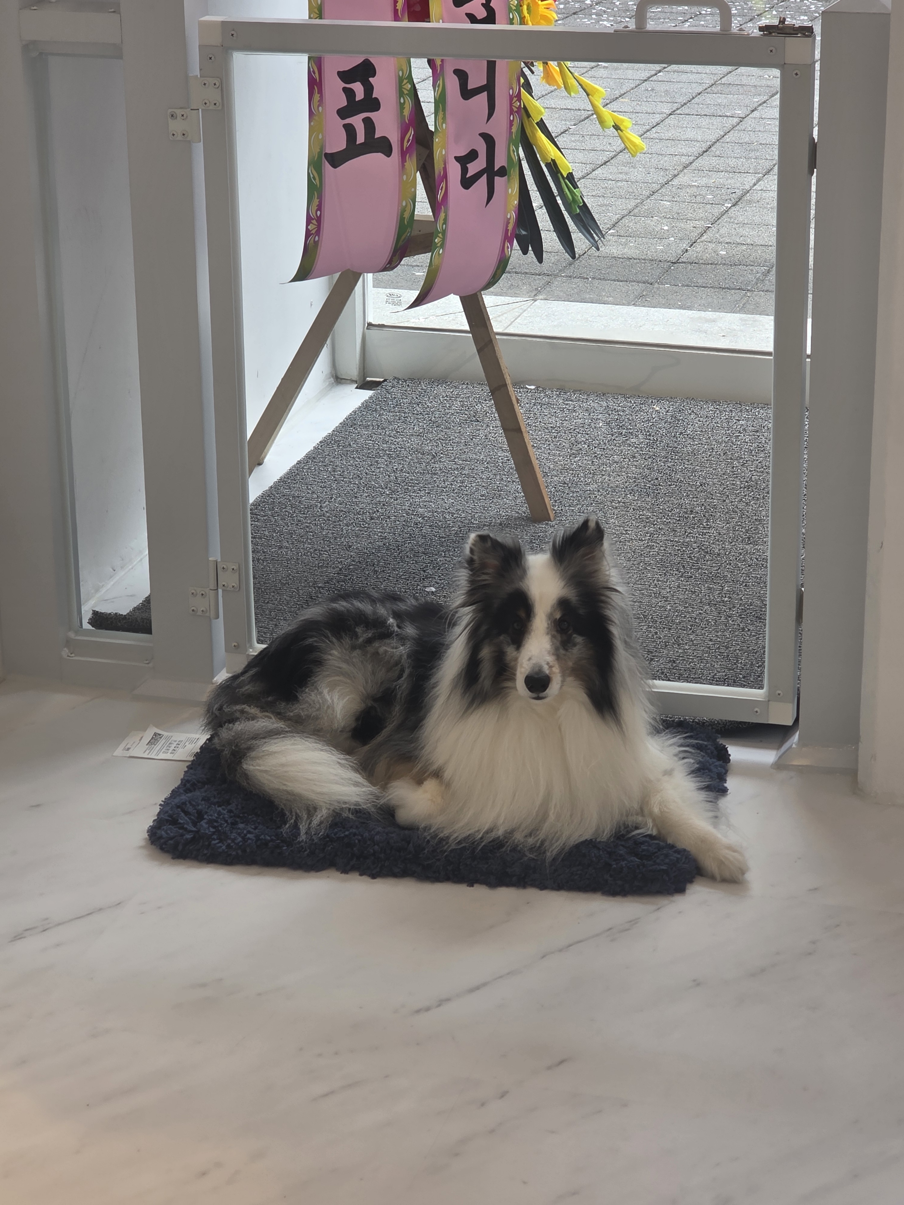 멍즈니스로166 대표 이미지