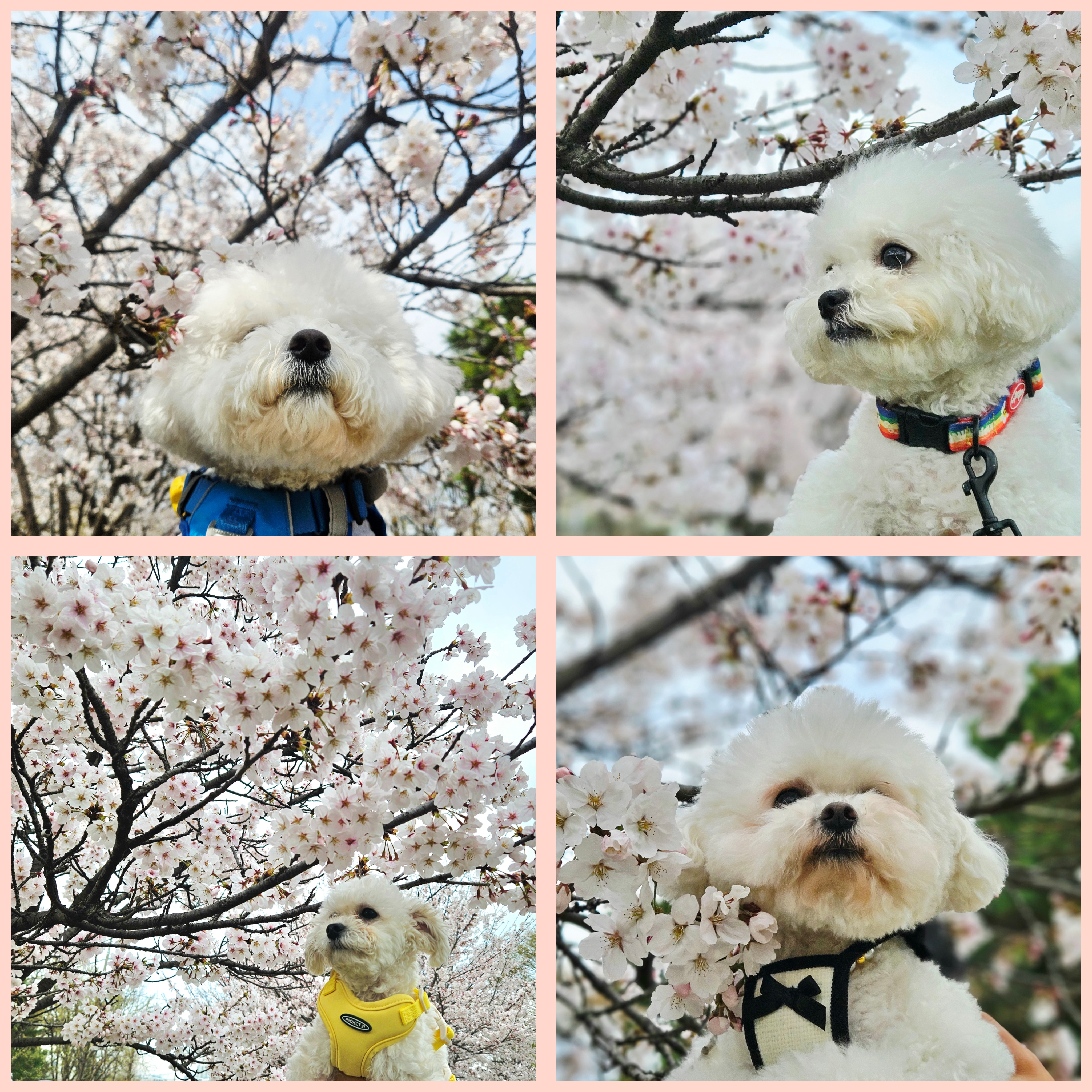 사진 2