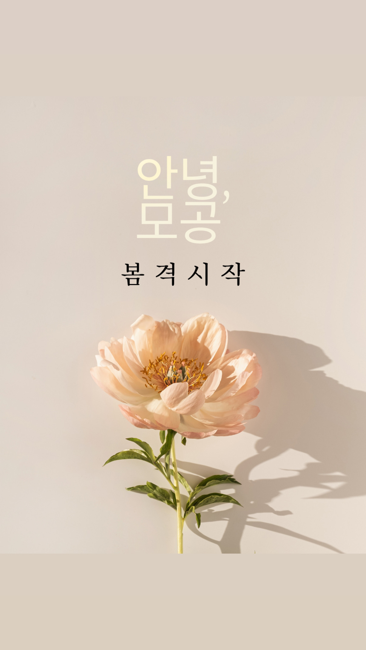 마이미뷰티&다산피부관리 photo 2