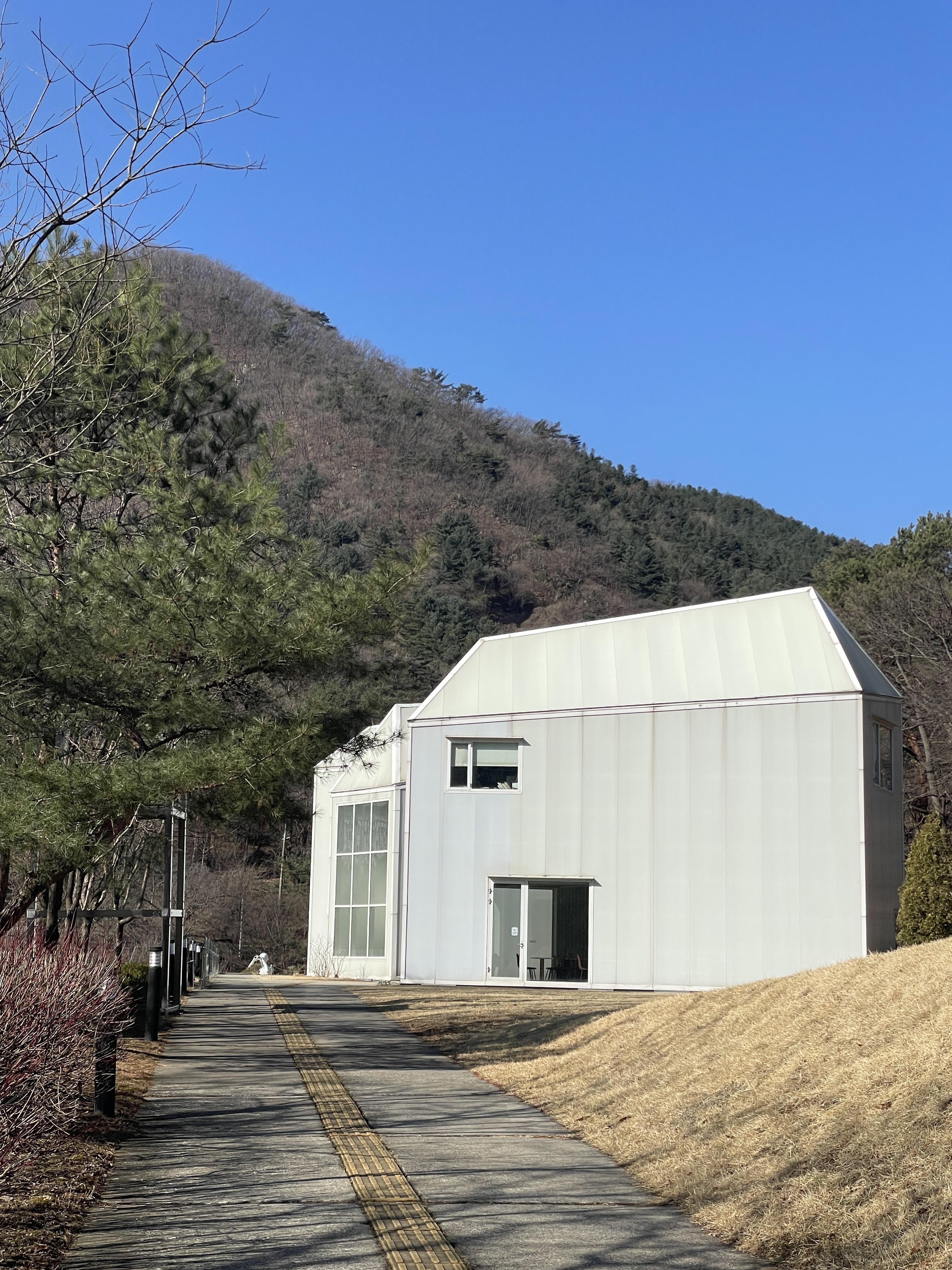 카페미술관 경상 애견맛집