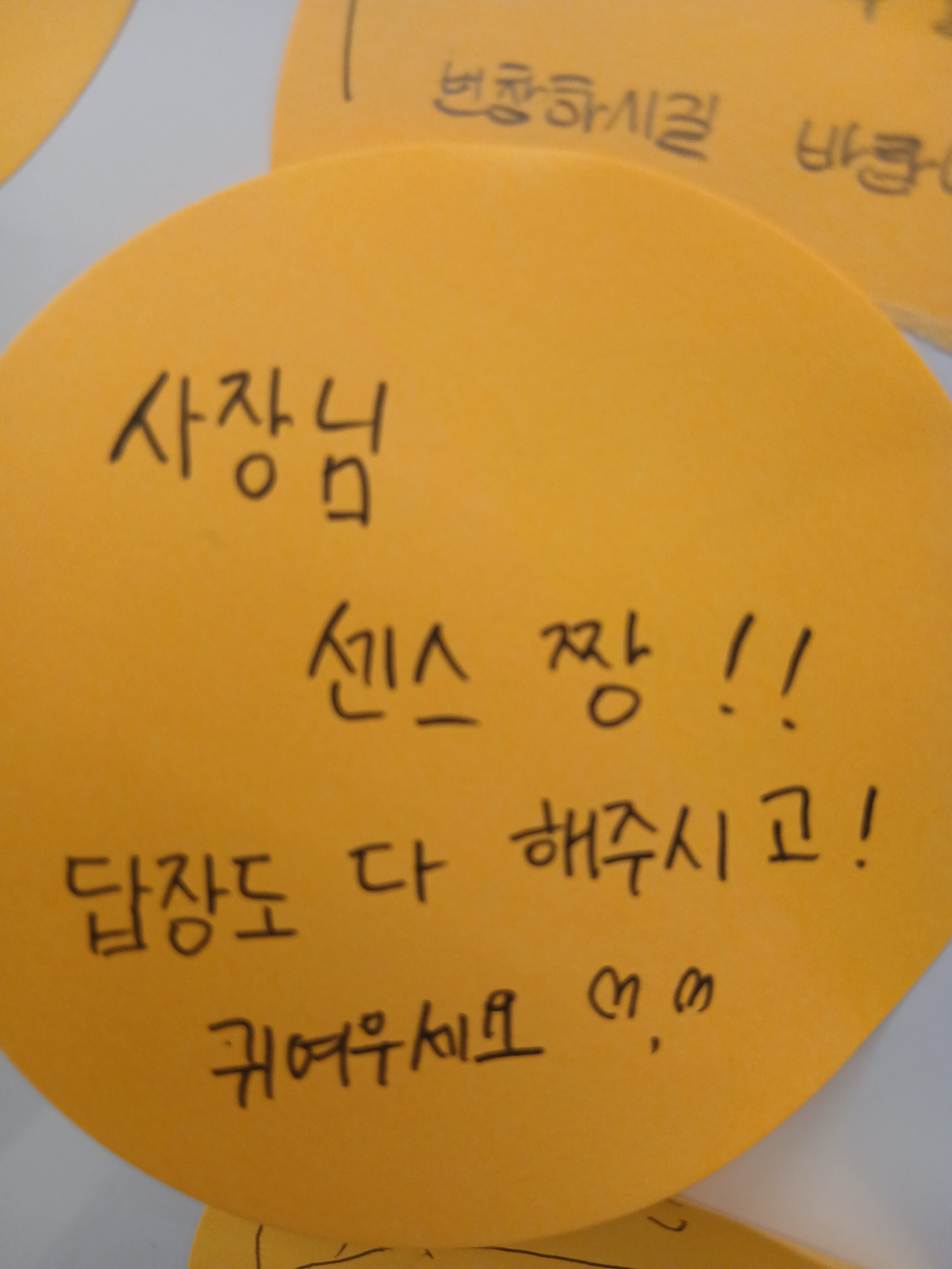 업체사진