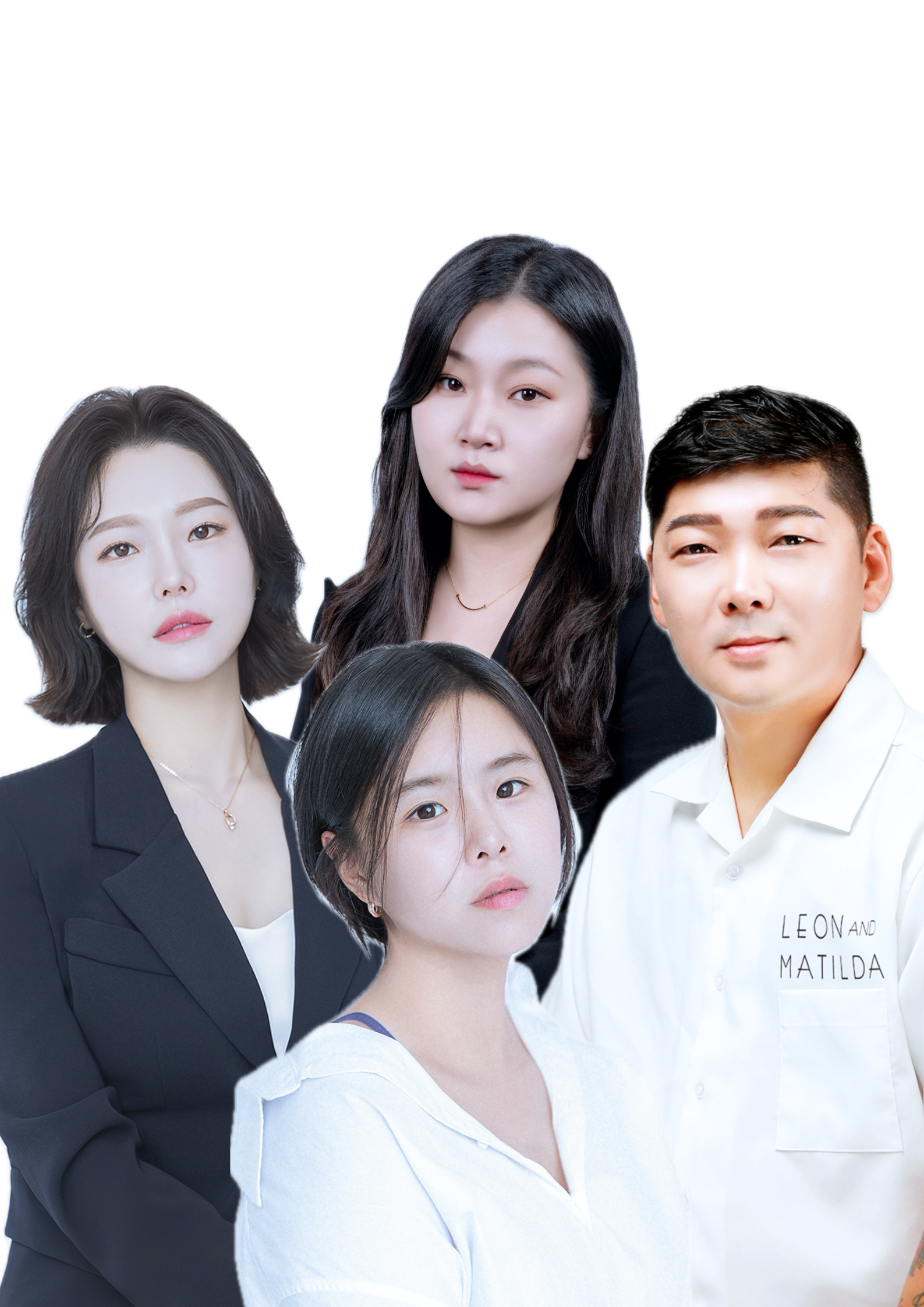 르베라 대표 이미지