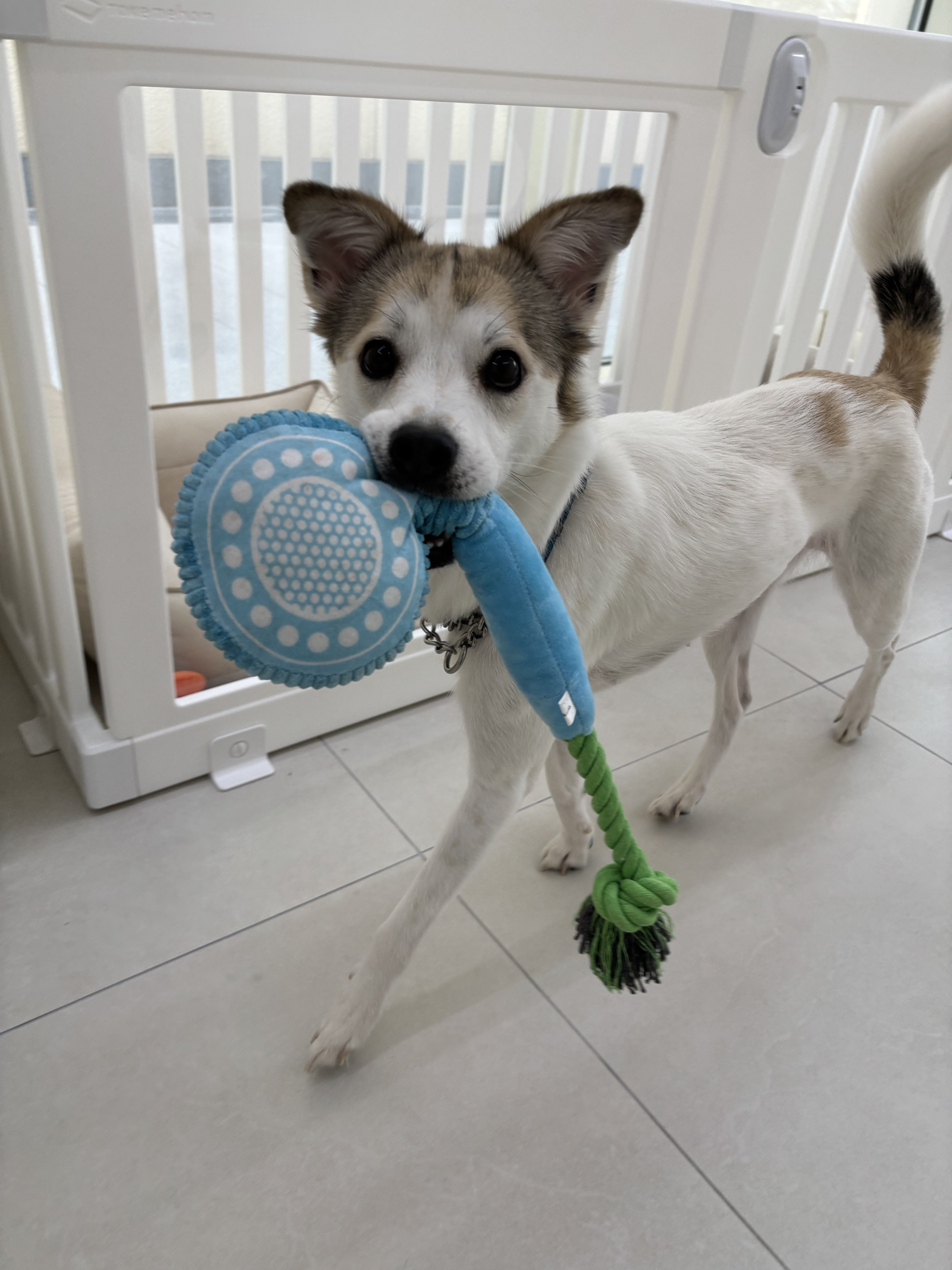 몽이스튜디오 대표 이미지