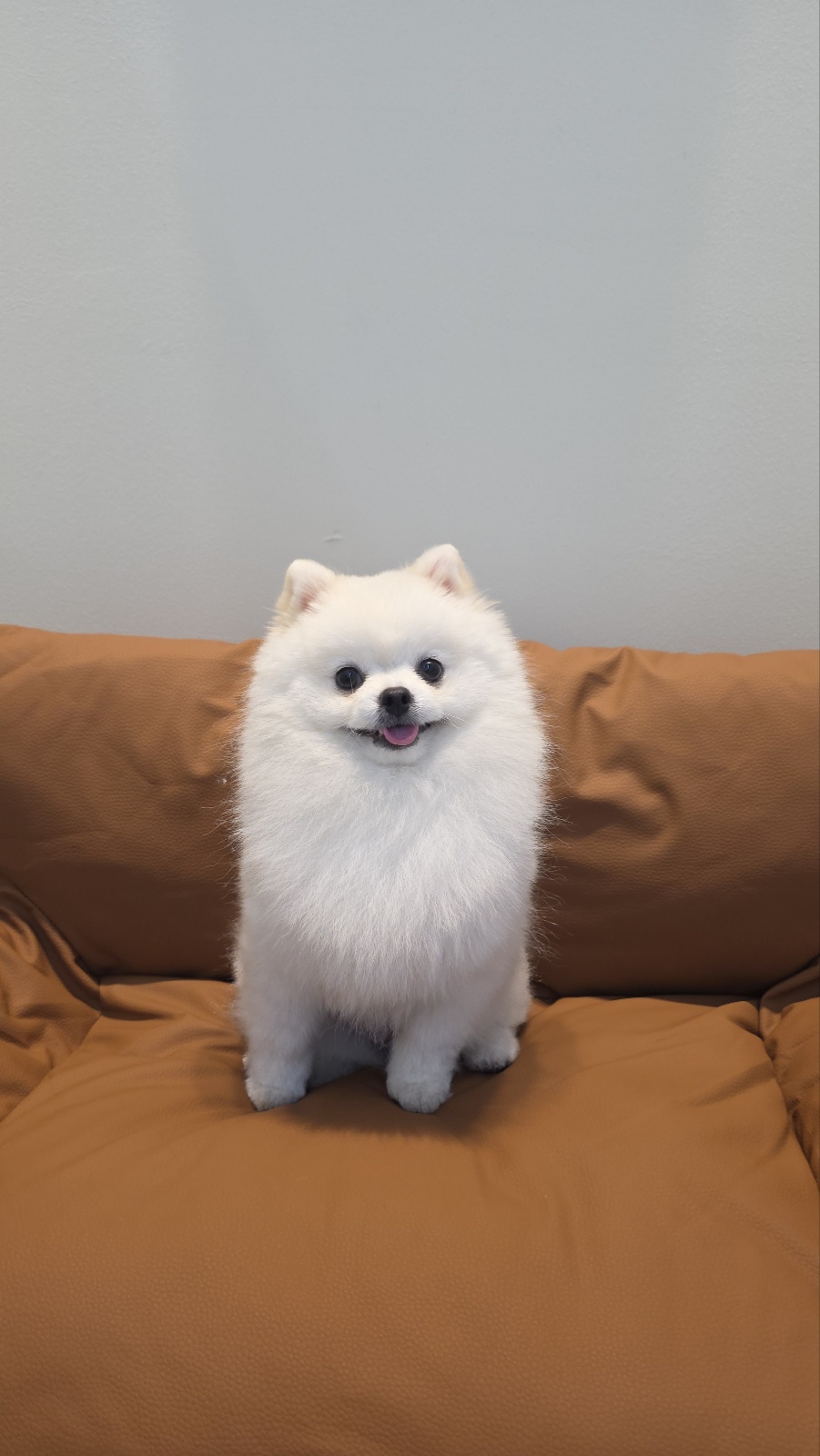 몽이스튜디오 대표 이미지