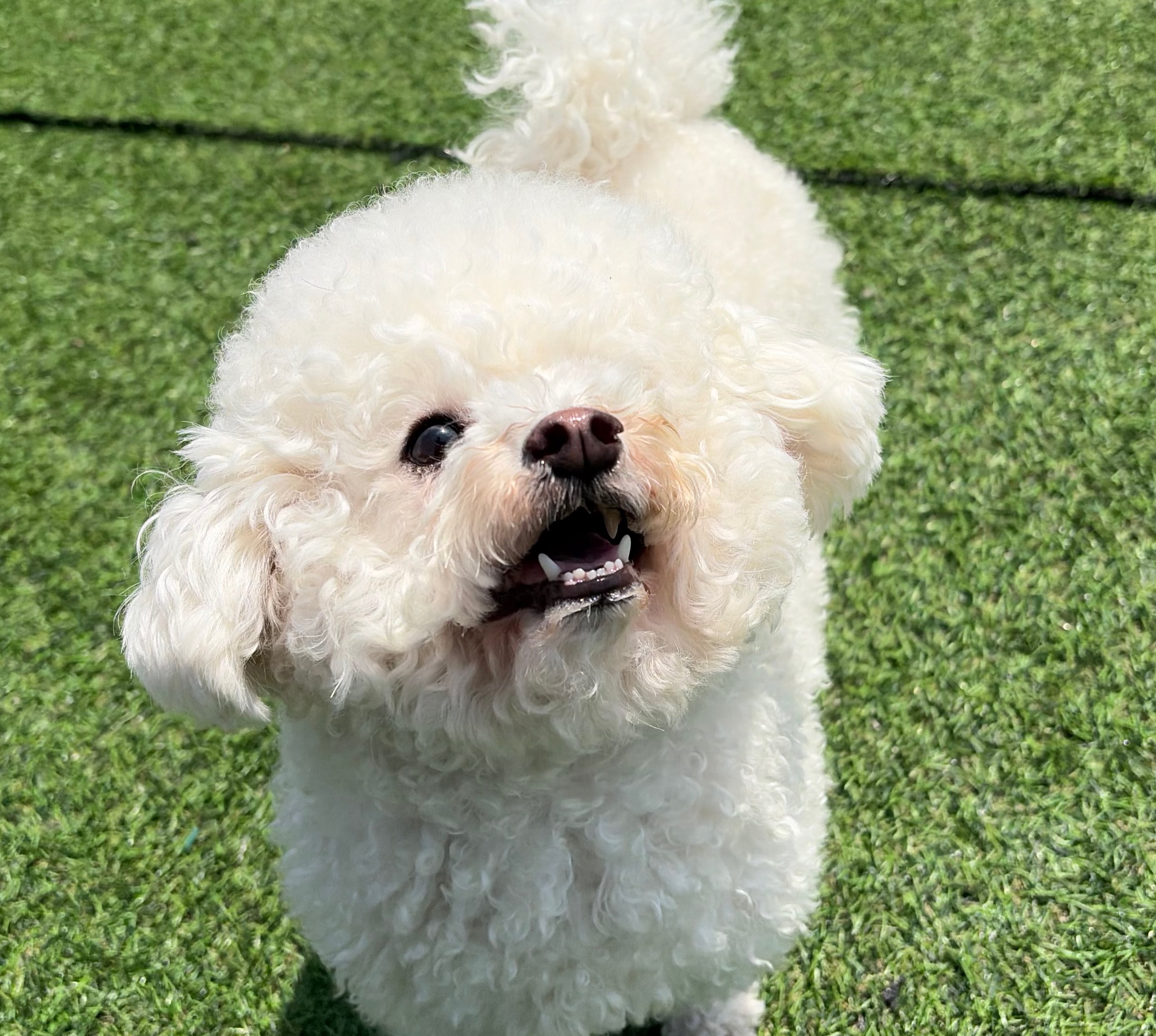 사진 5