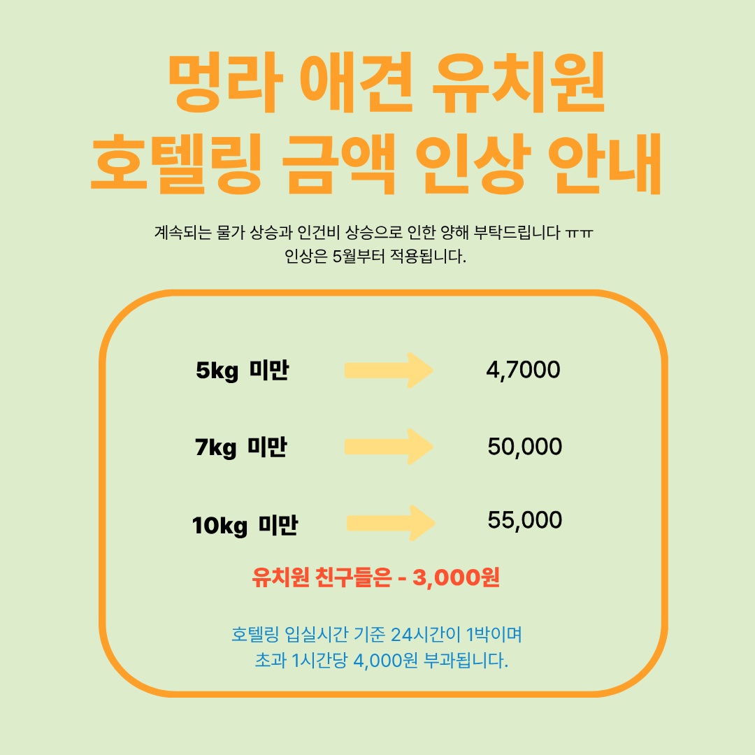 멍라운지 4