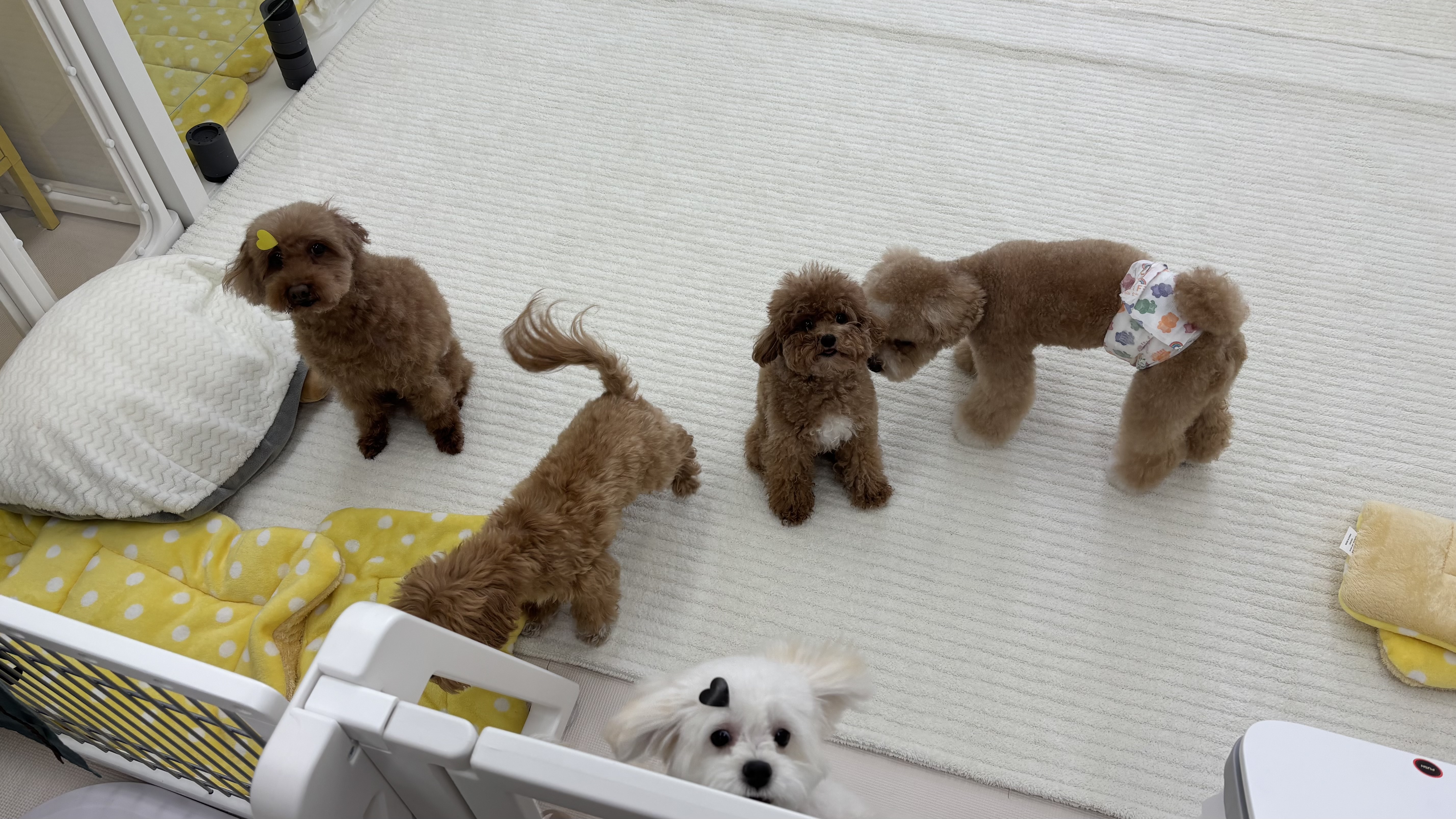 청담네 대표 이미지