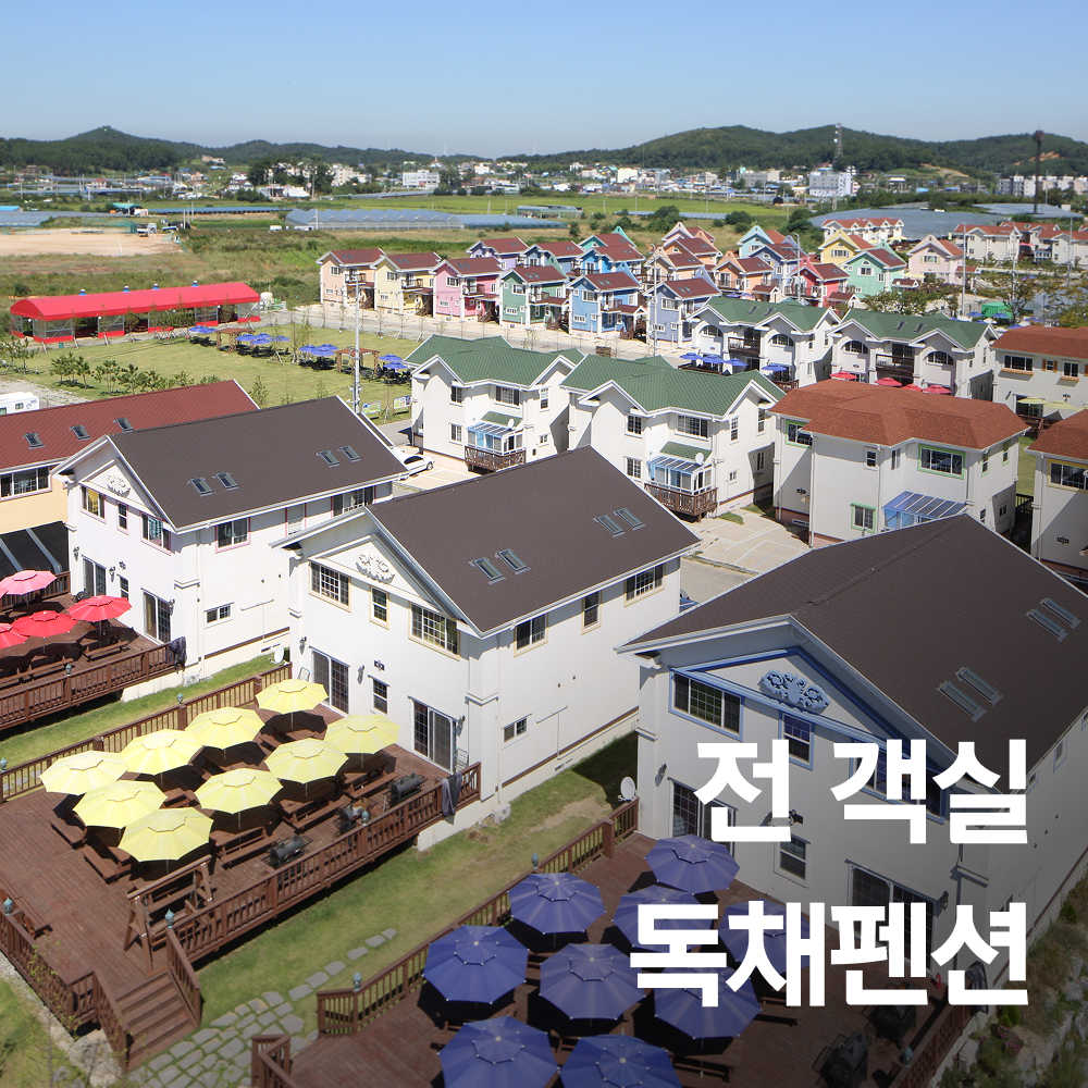 사진 4