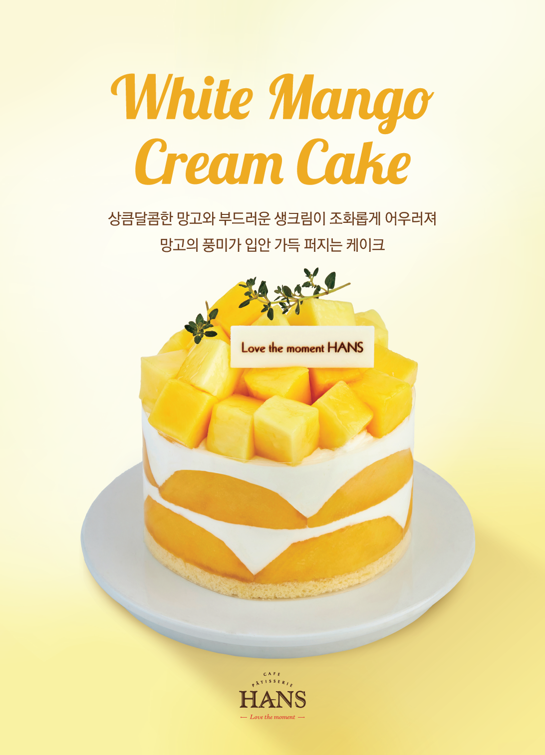 한스 대치점