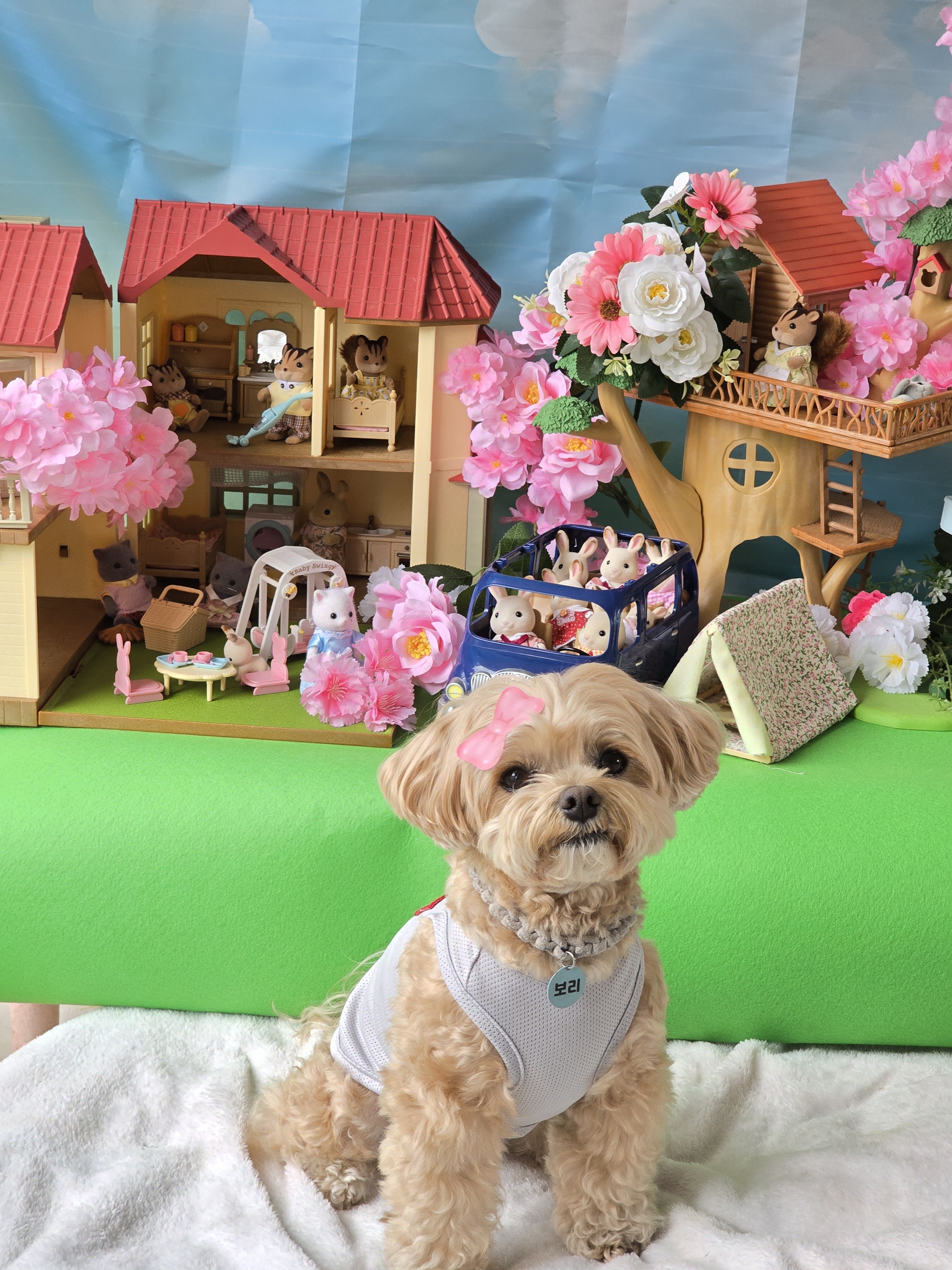 바둑이연구소 대표 이미지