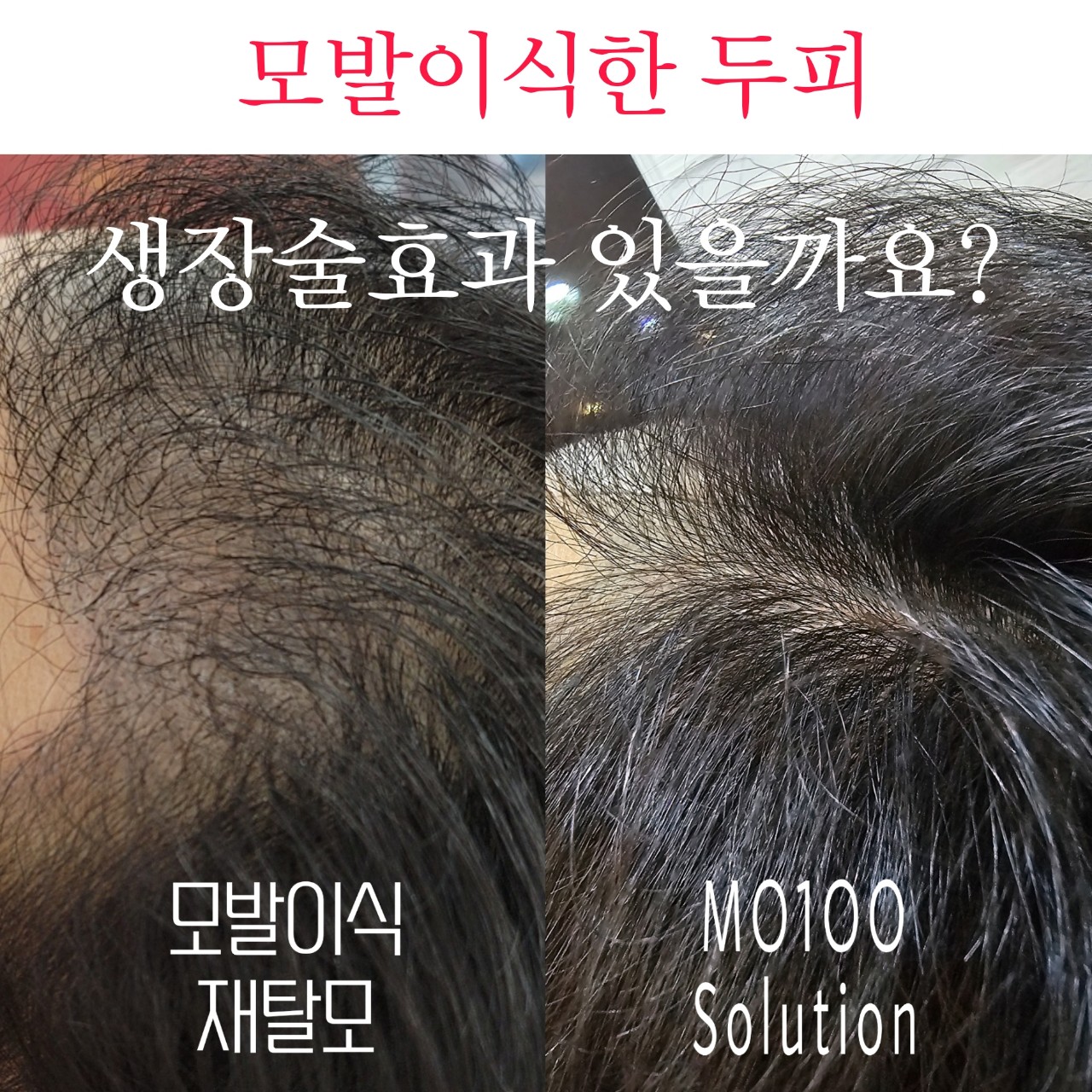 채올 photo 6