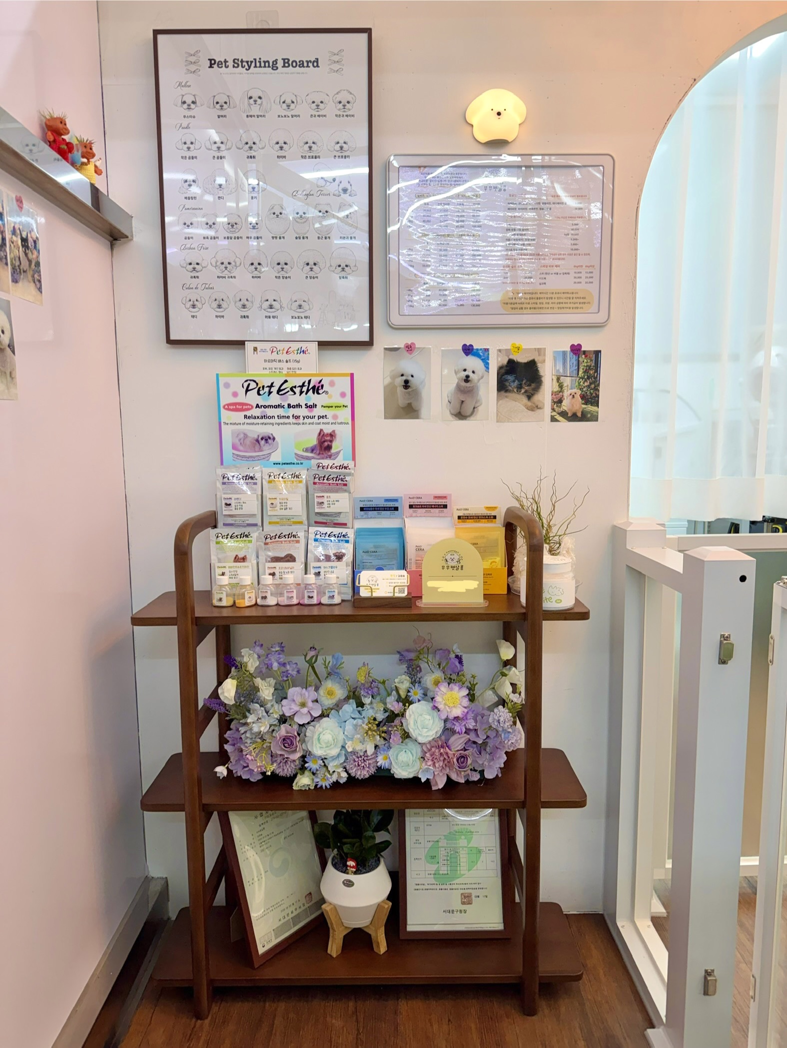 무무펫살롱 대표 이미지